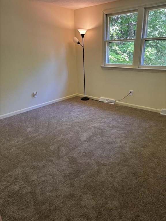 91 Hayward Ave Property Photo 18