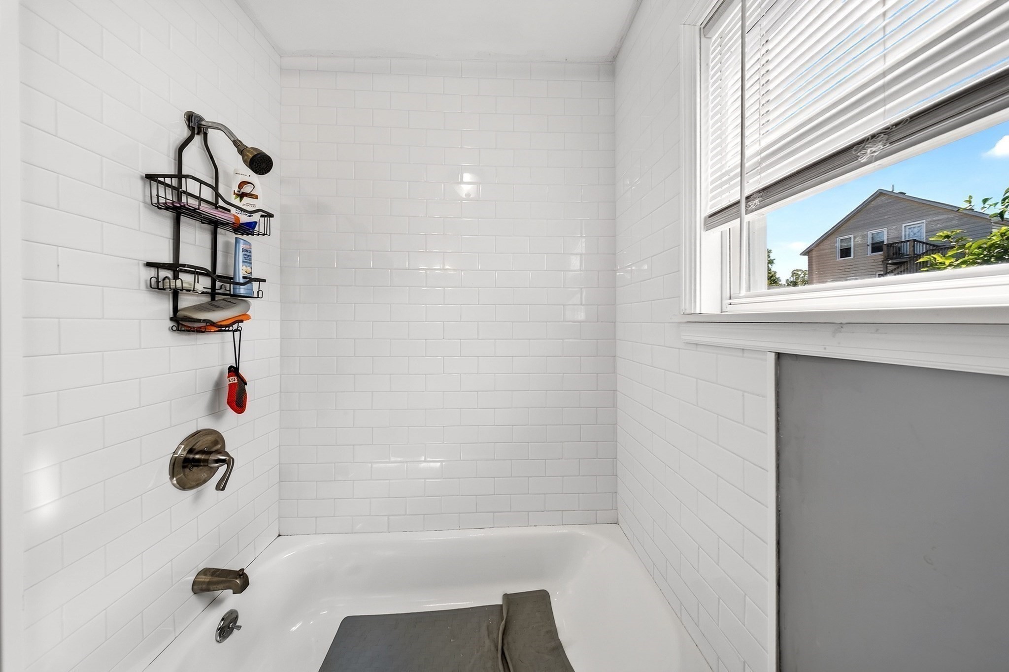 222 Albion St Property Photo 16