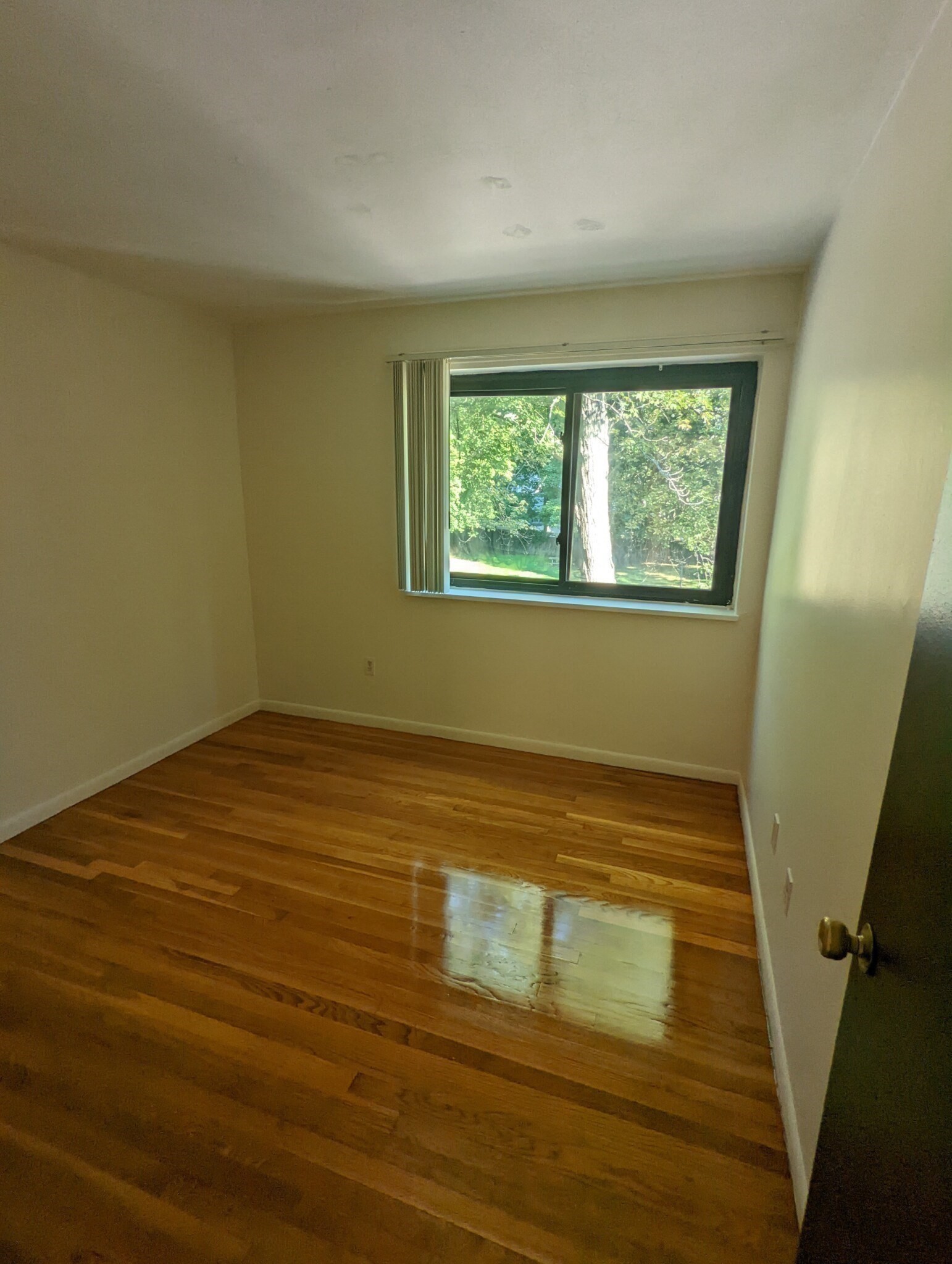 202 Central # 6 Property Photo 5