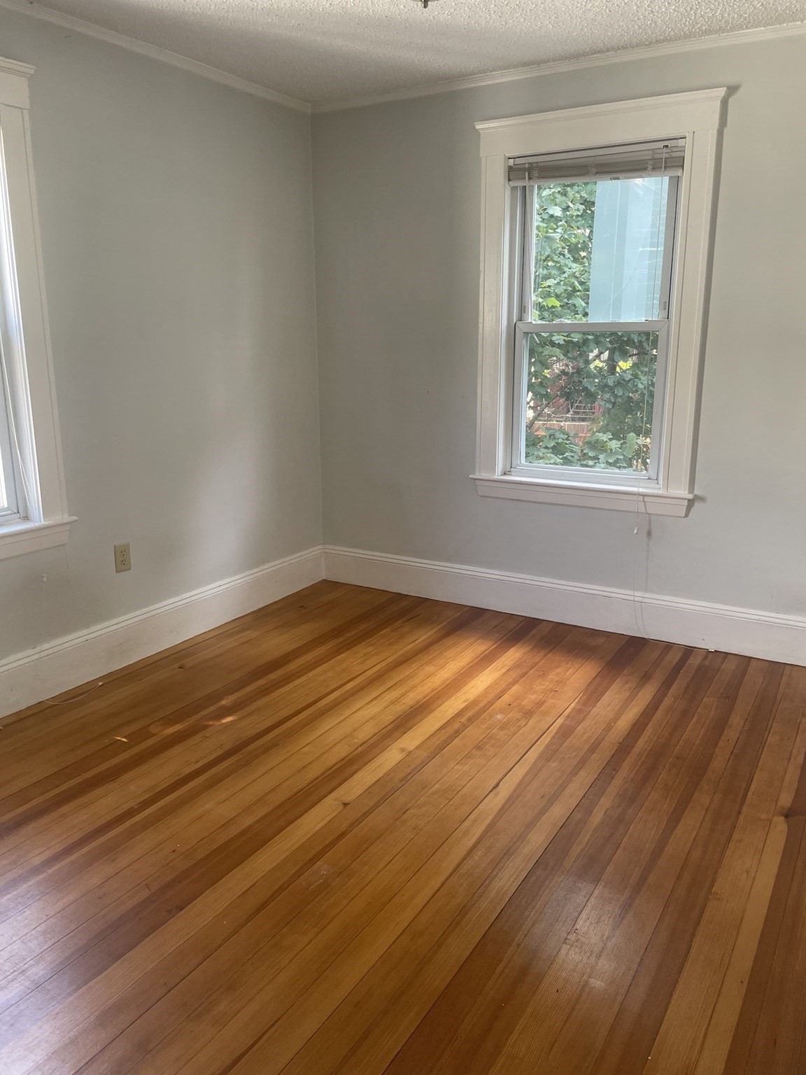 250 Hyde Park Ave # 1a Property Photo 4