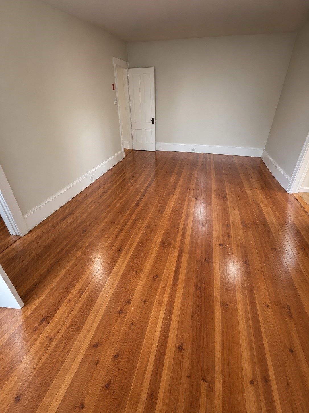 22 Goldsmith Street # 1 Property Photo 6