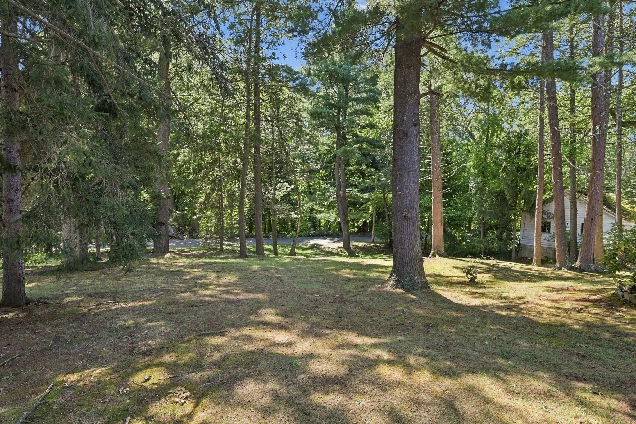 46 Rush St Property Photo 5