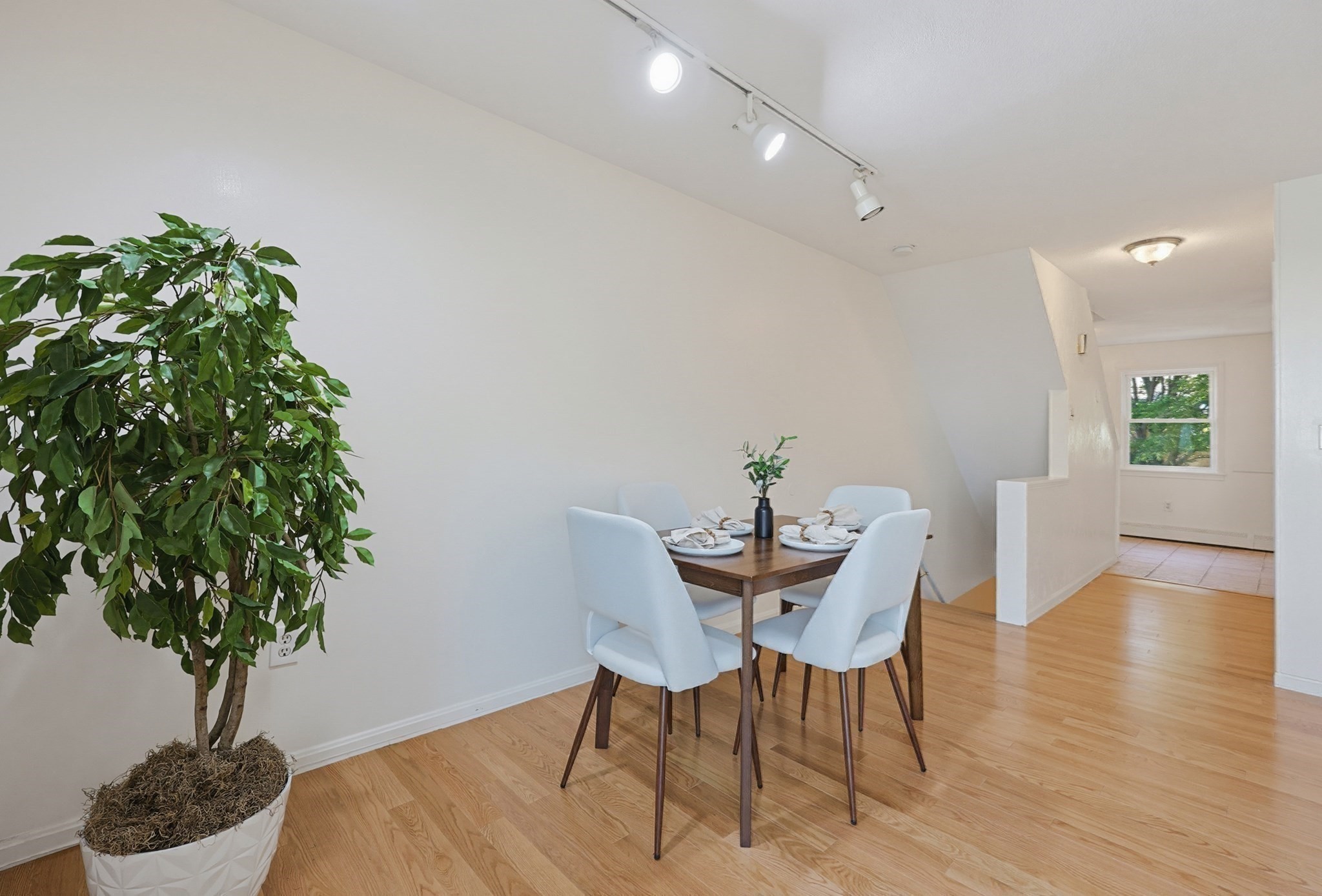 294 Paris Street # 294 Property Photo 8
