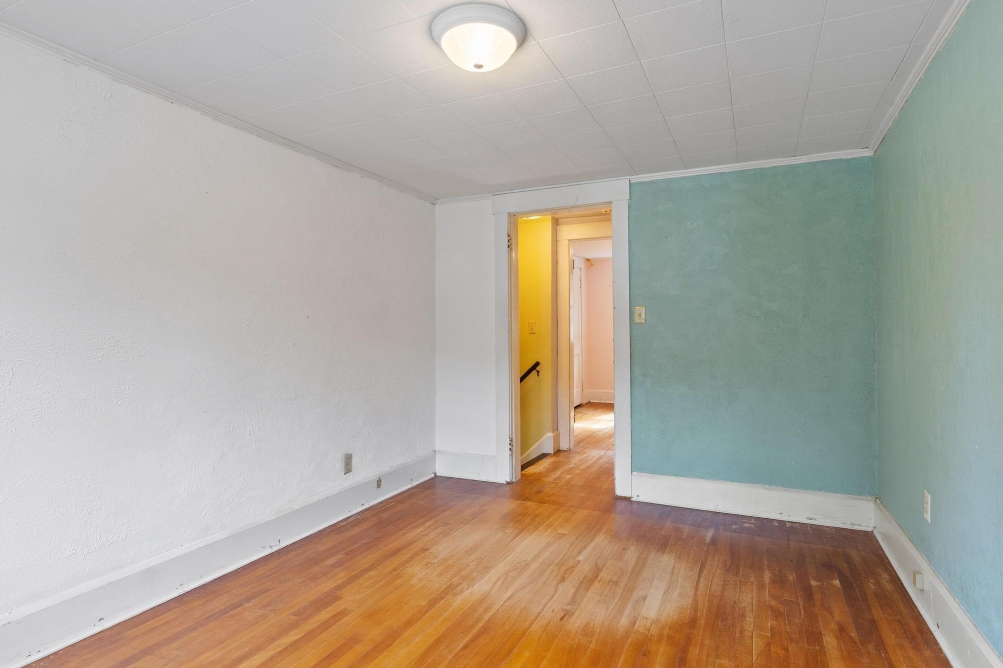 323 Pearl St Property Photo 23