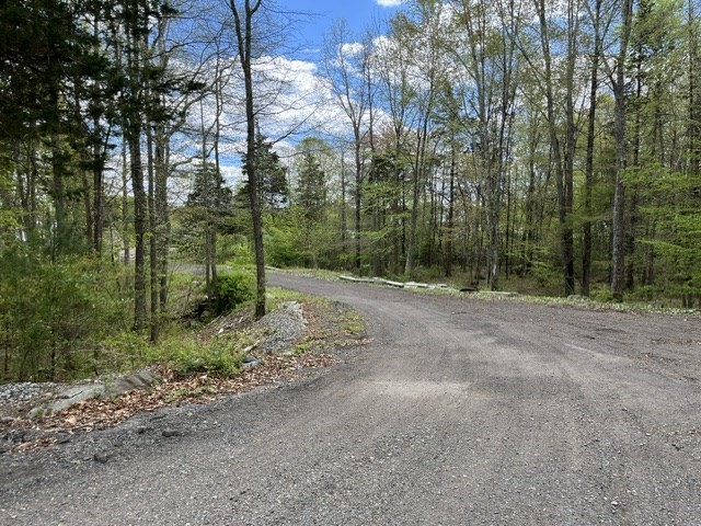 429/a Winthrop Property Photo 2