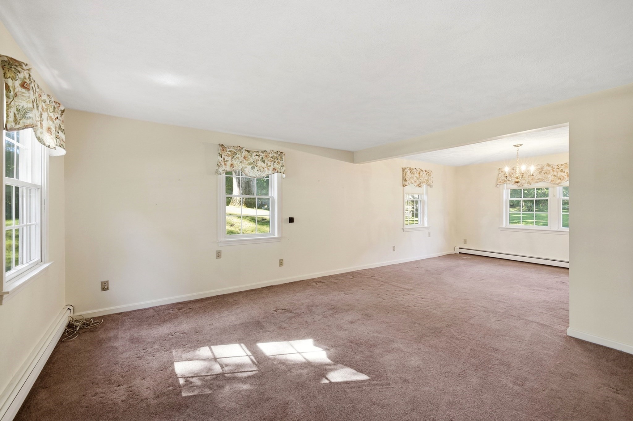 35 Forest Street Property Photo 28