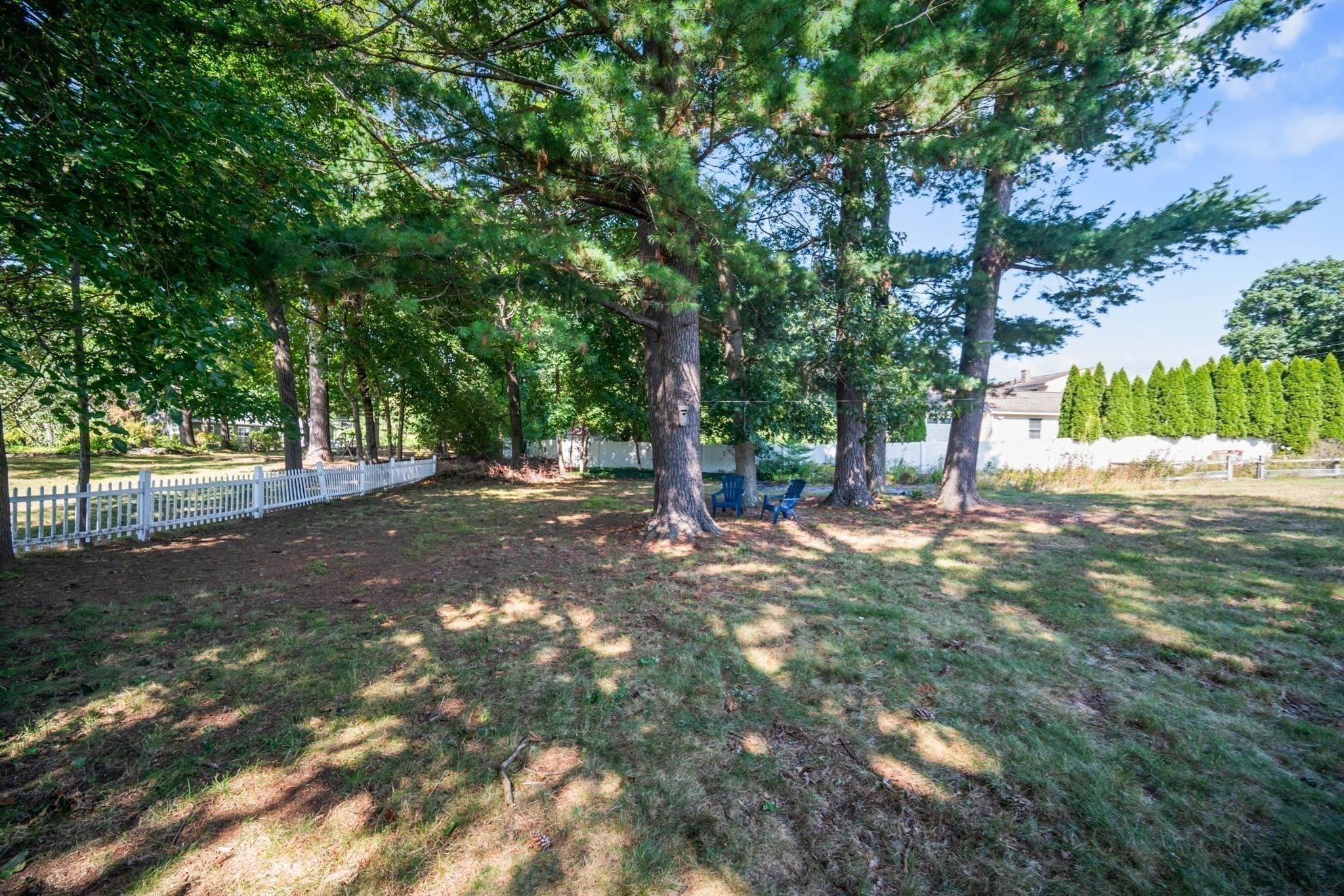 23 Pearson St Property Photo 4