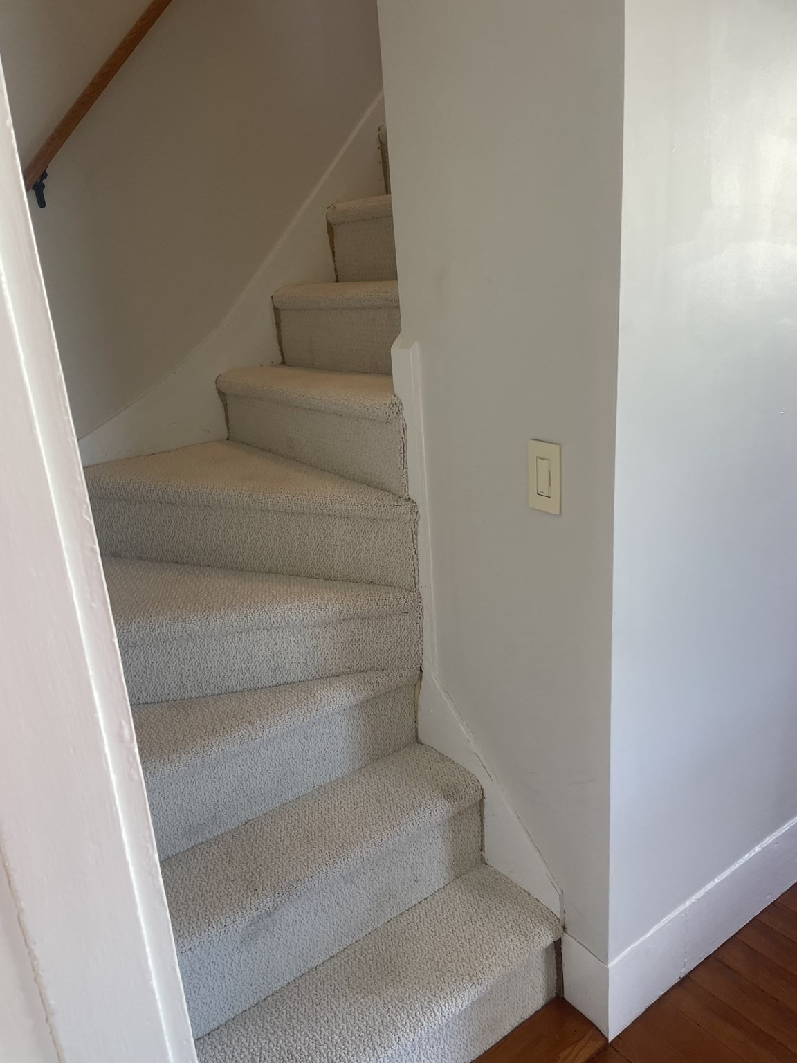 57 Roy Street Property Photo 23