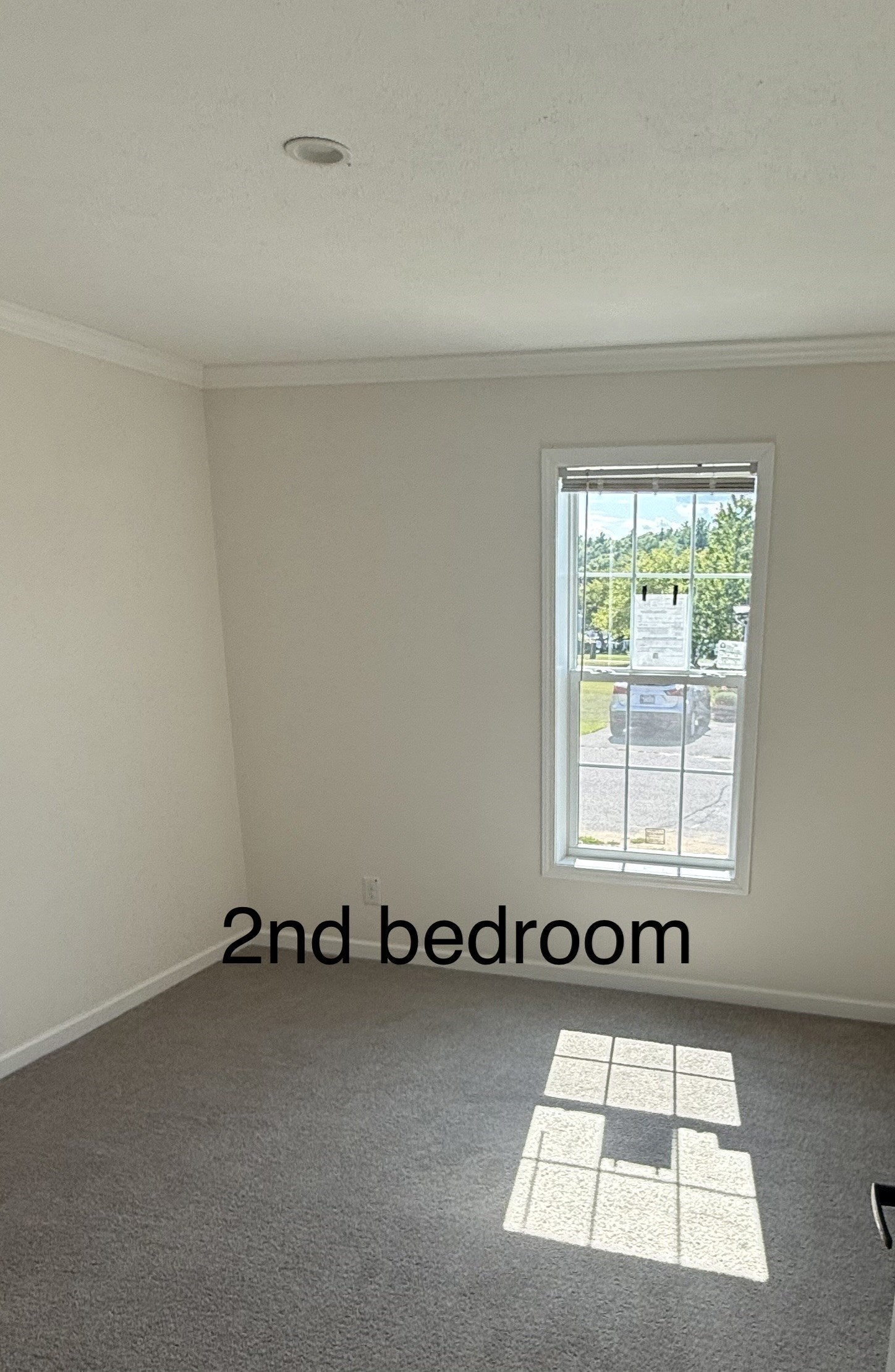 13 Lydia Drive Property Photo 9