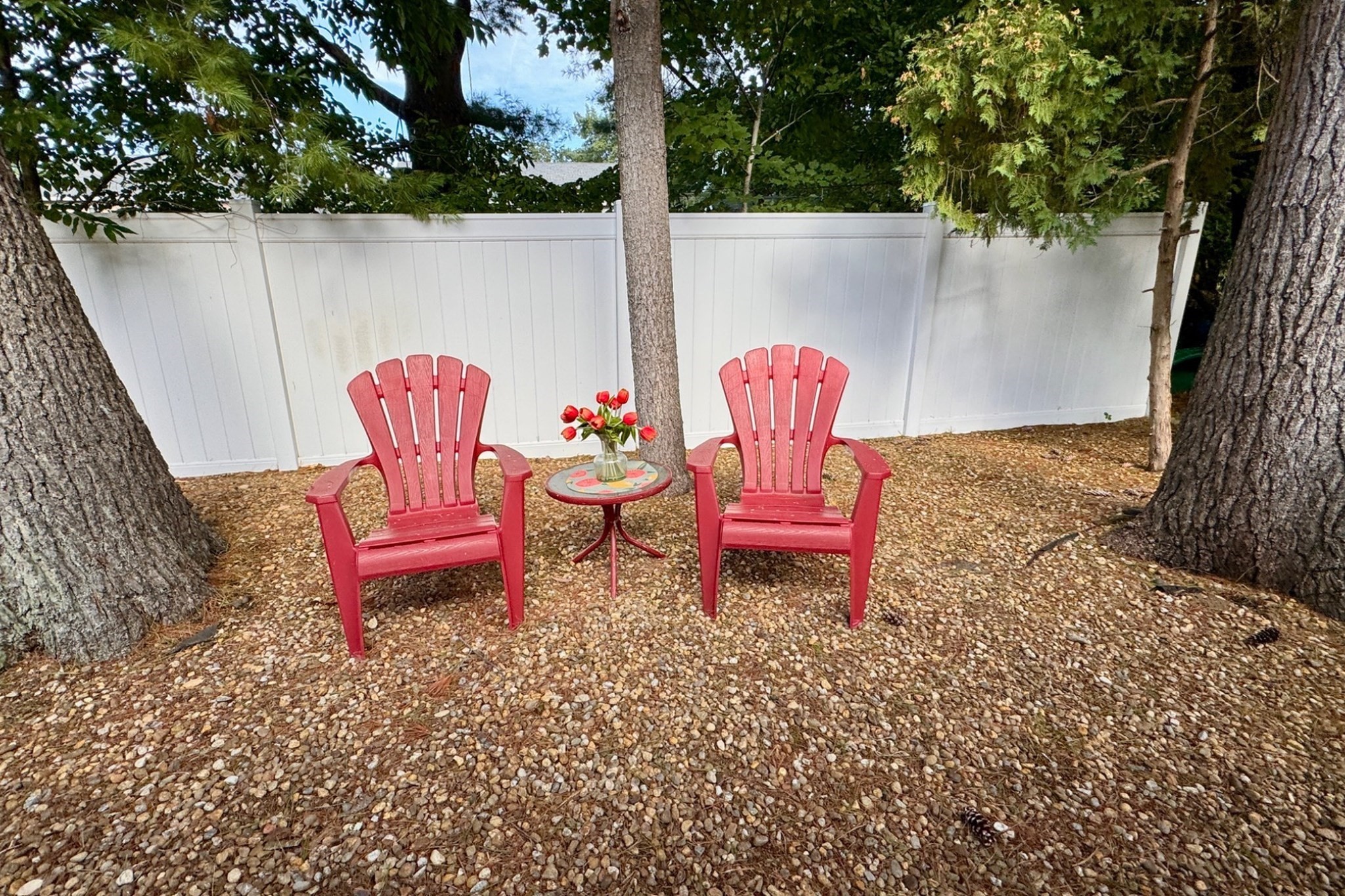 1 Lisa Circle Property Photo 32
