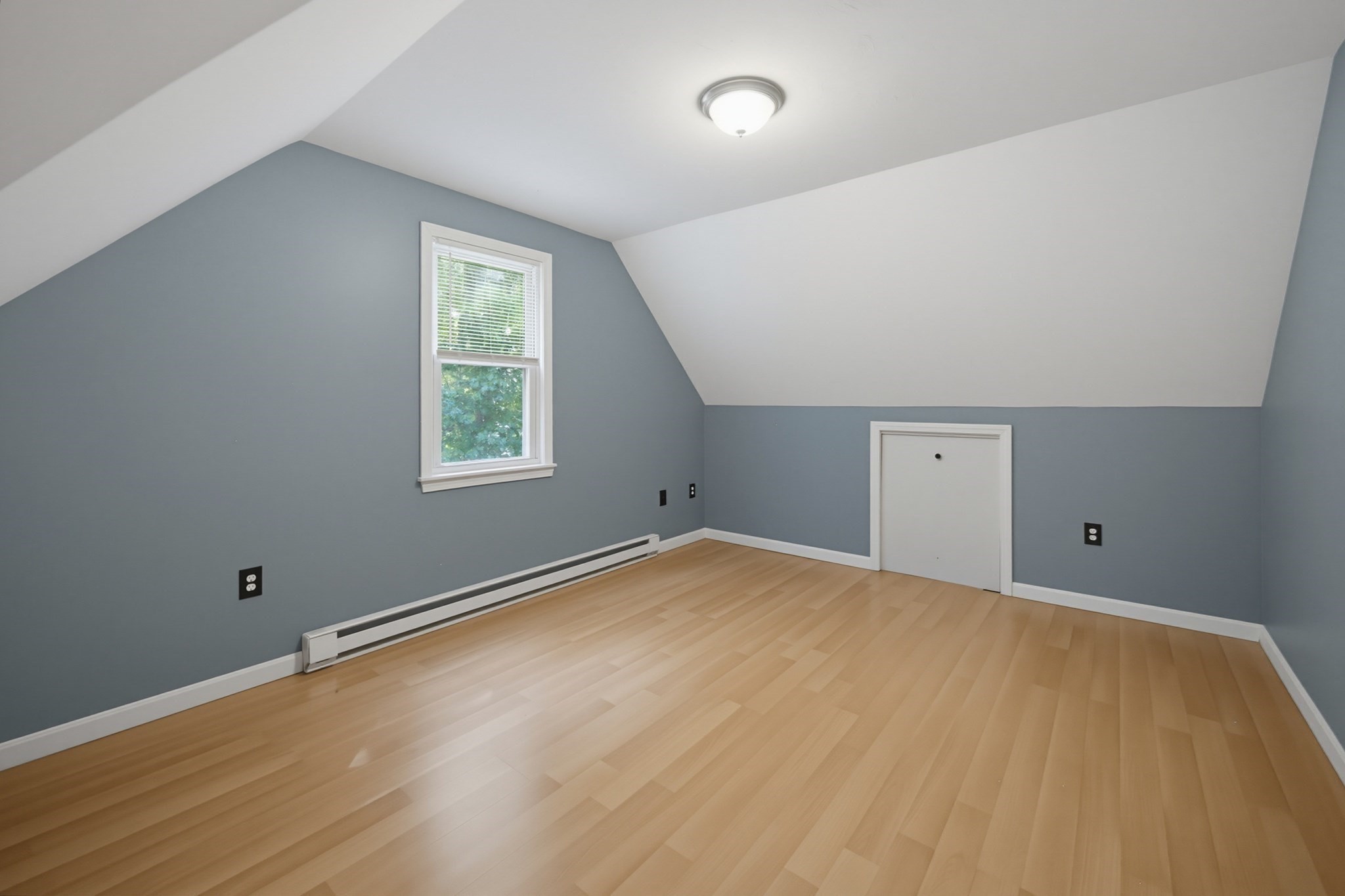 56 Harrington Rd Property Photo 24