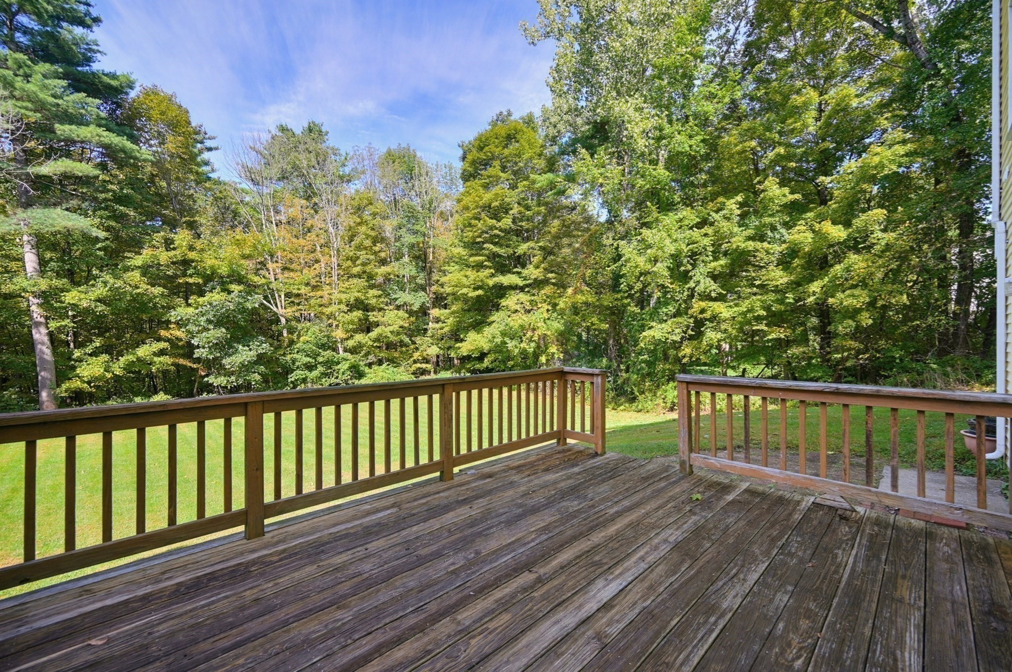 56 Harrington Rd Property Photo 27