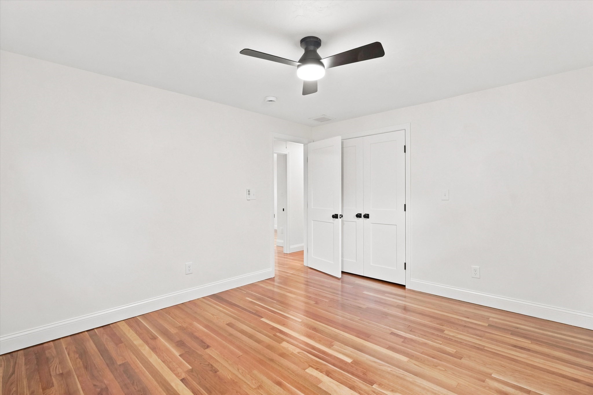 41 Marron Ave Property Photo 19