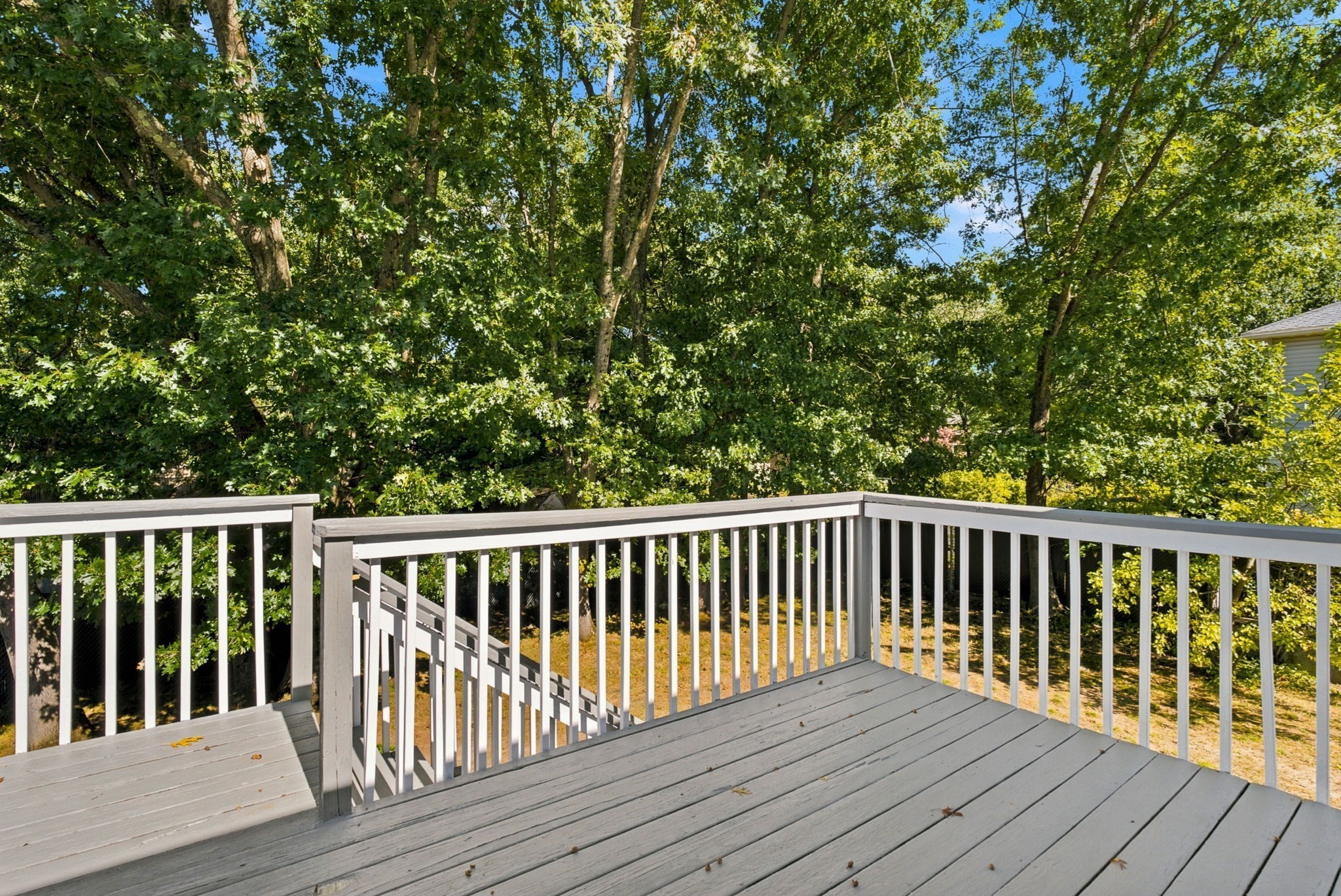 18 Woodland Street Property Photo 7