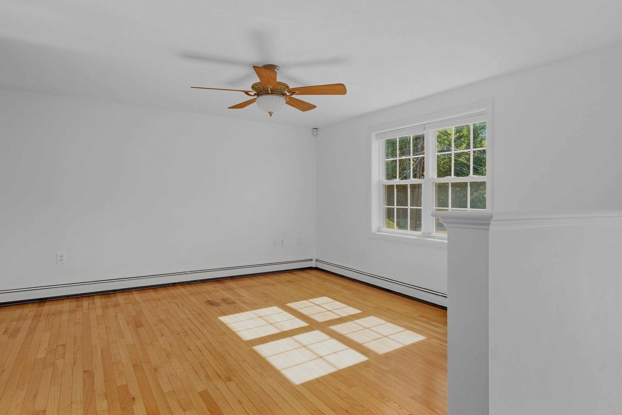 18 Woodland Street Property Photo 13