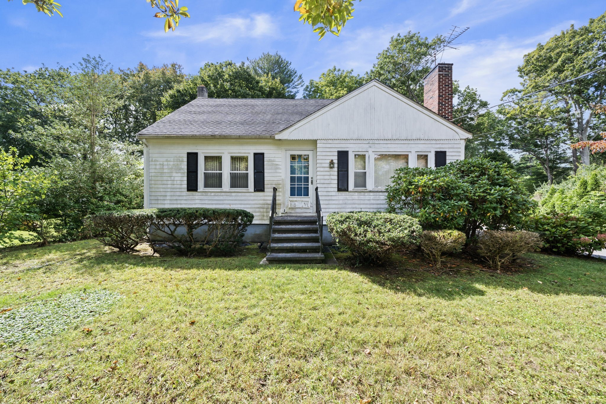 43 Lawrence St Property Photo 2