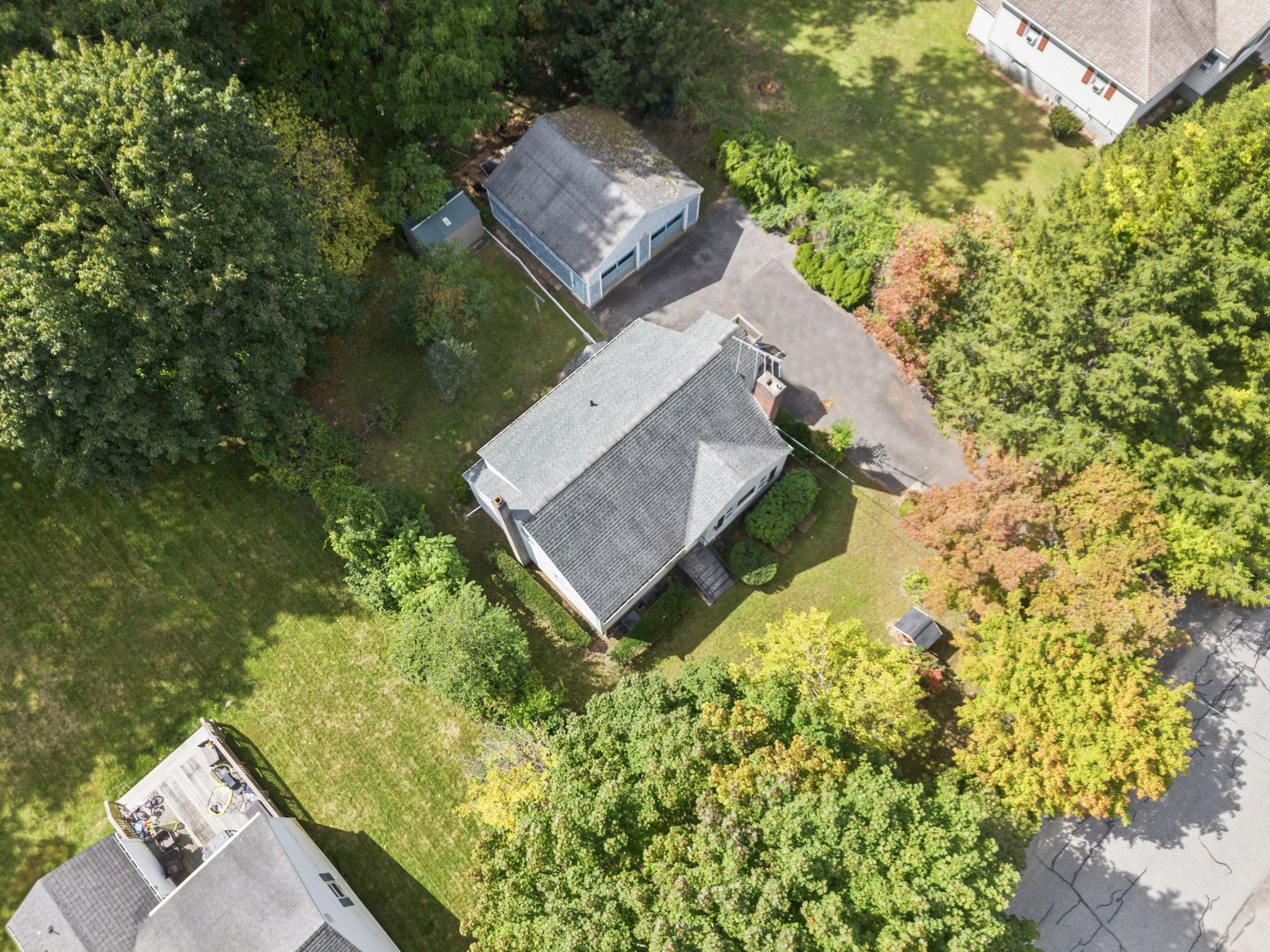43 Lawrence St Property Photo 4