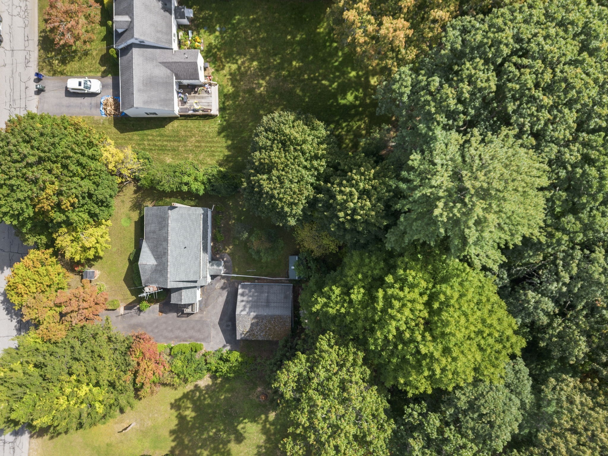 43 Lawrence St Property Photo 6