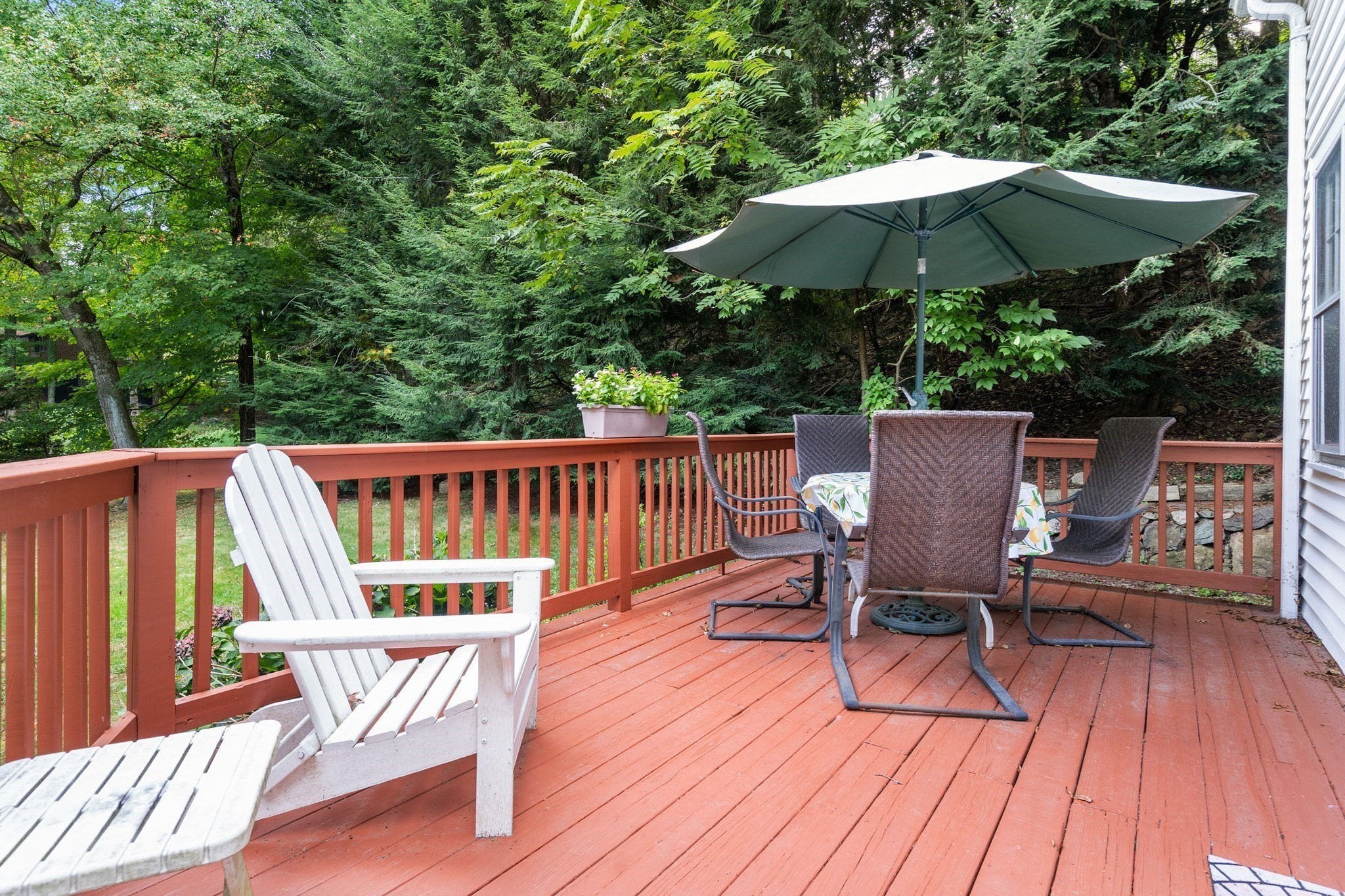 24 Cliff Road Property Photo 9