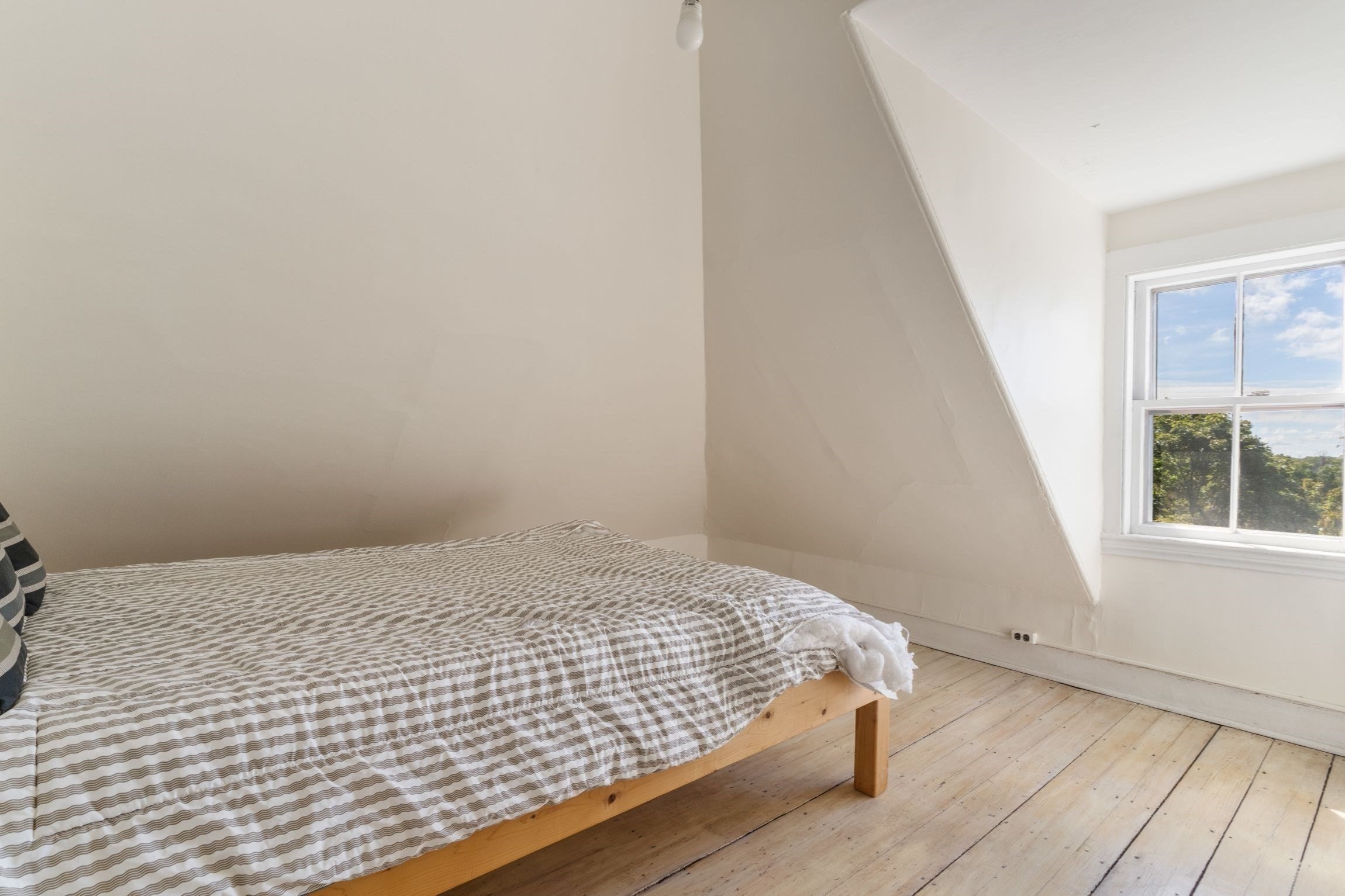 33 Cranston Street Property Photo 19
