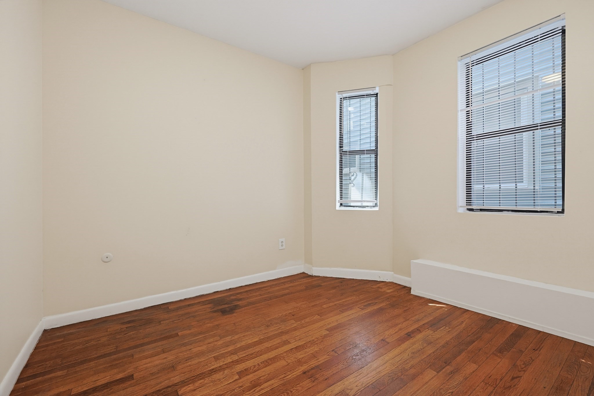 117 Regent St Property Photo 16