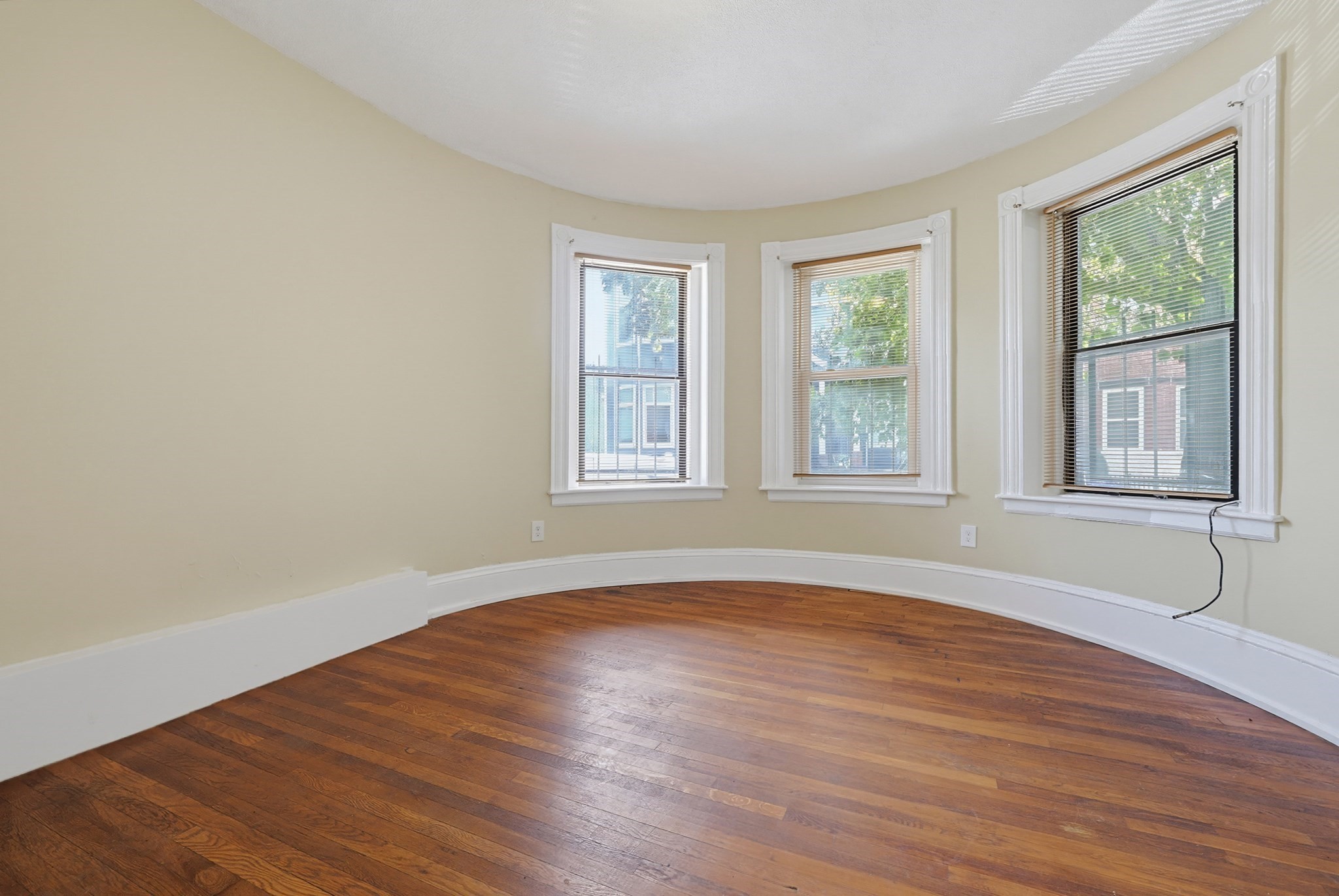 117 Regent St Property Photo 20
