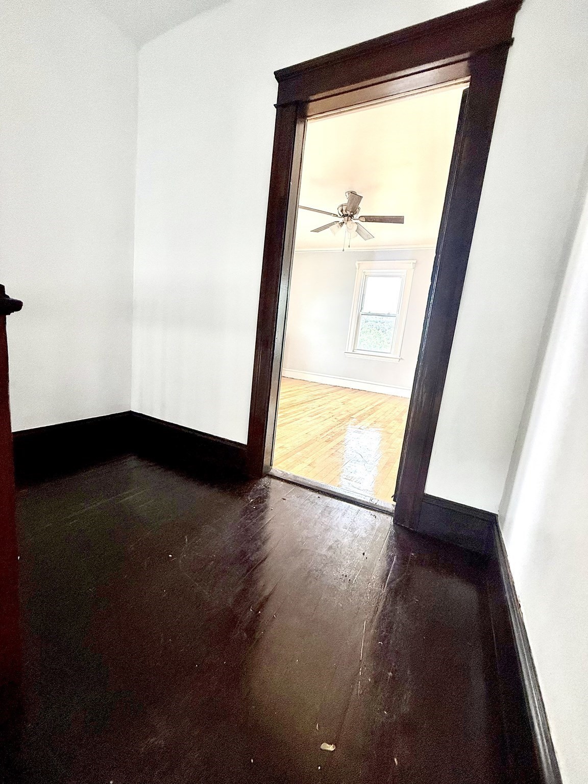 32 Catharine Street Property Photo 6