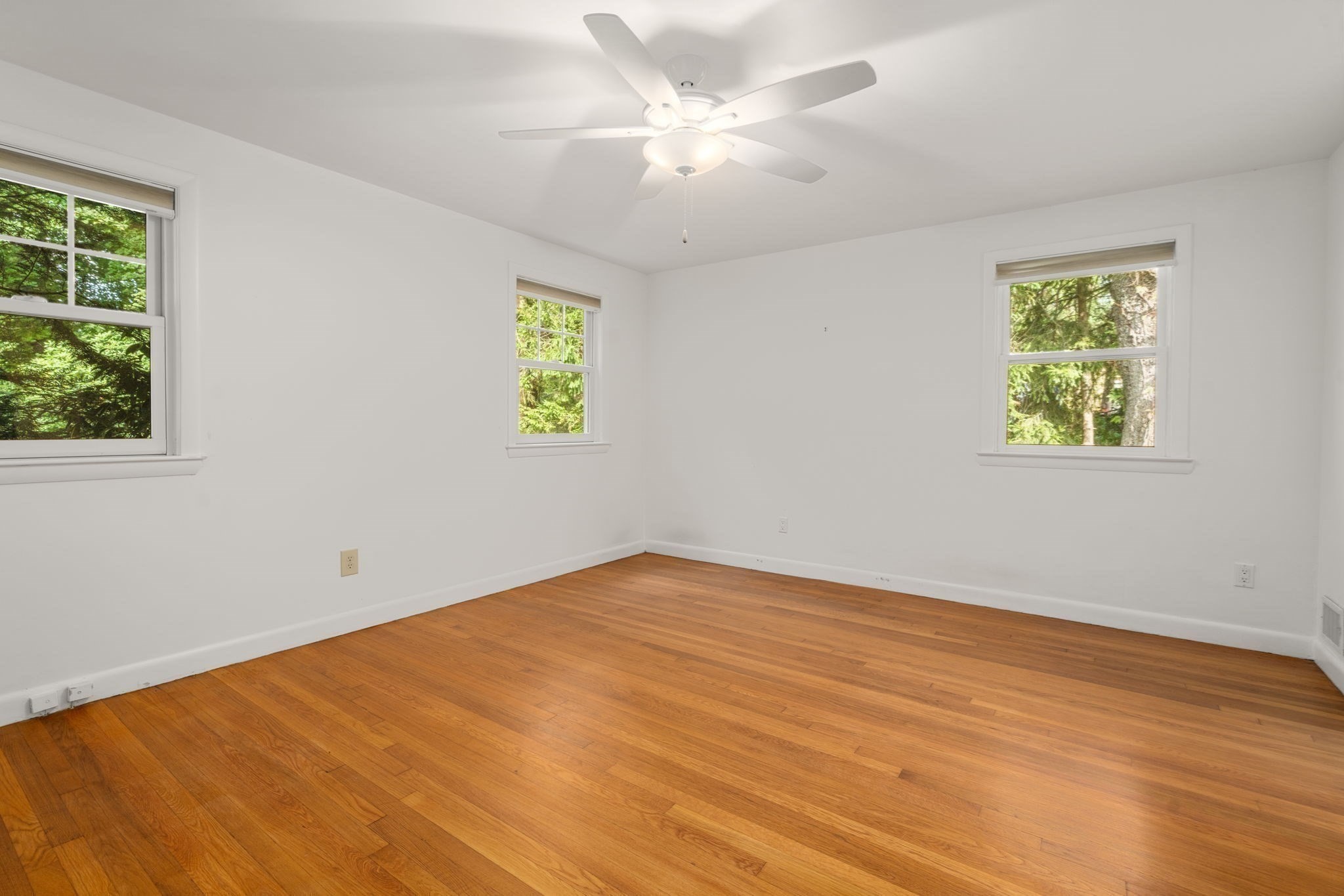 6 Hayward Road Property Photo 26