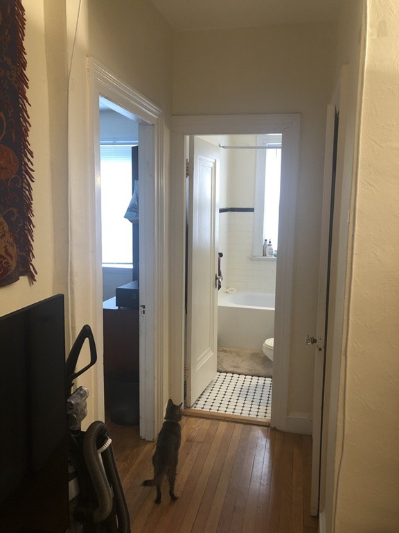 1662 Commonwealth Avenue # 23 Property Photo 19