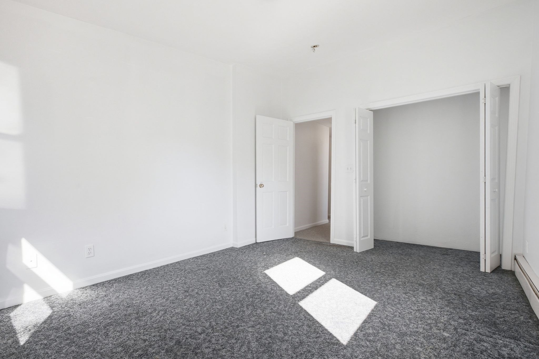 34 Palmer St Property Photo 24