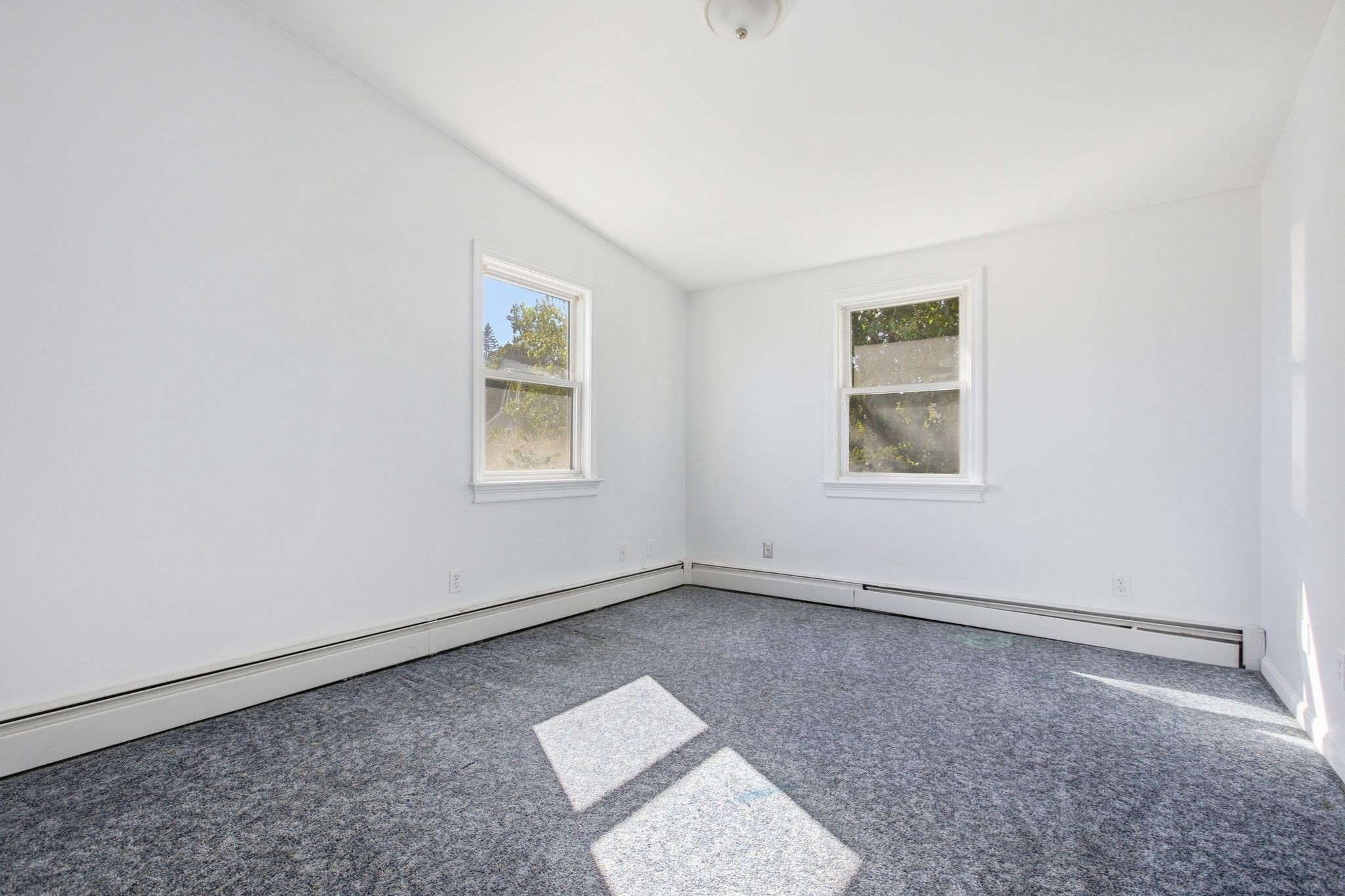 34 Palmer St Property Photo 25