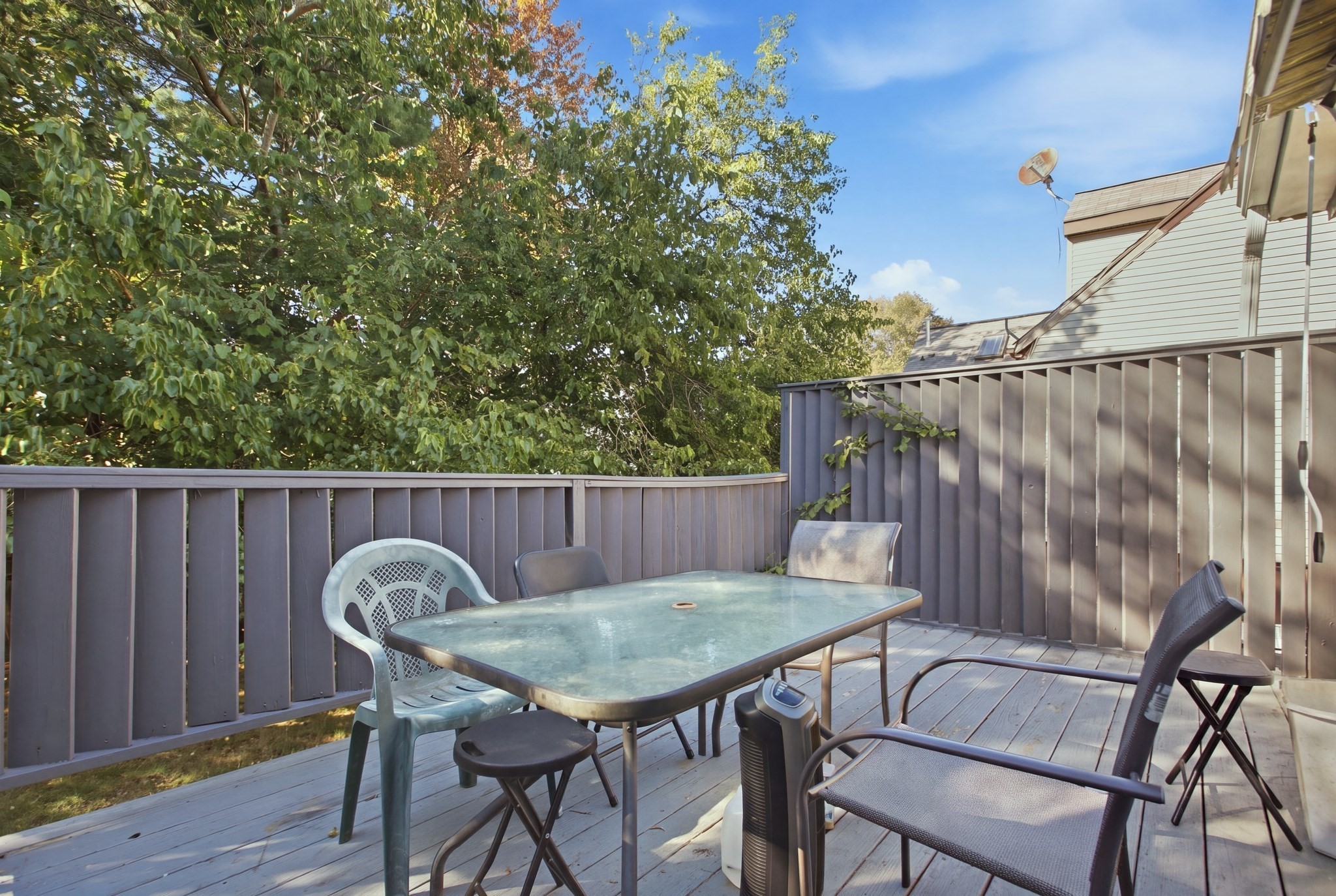 34 Palmer St Property Photo 30
