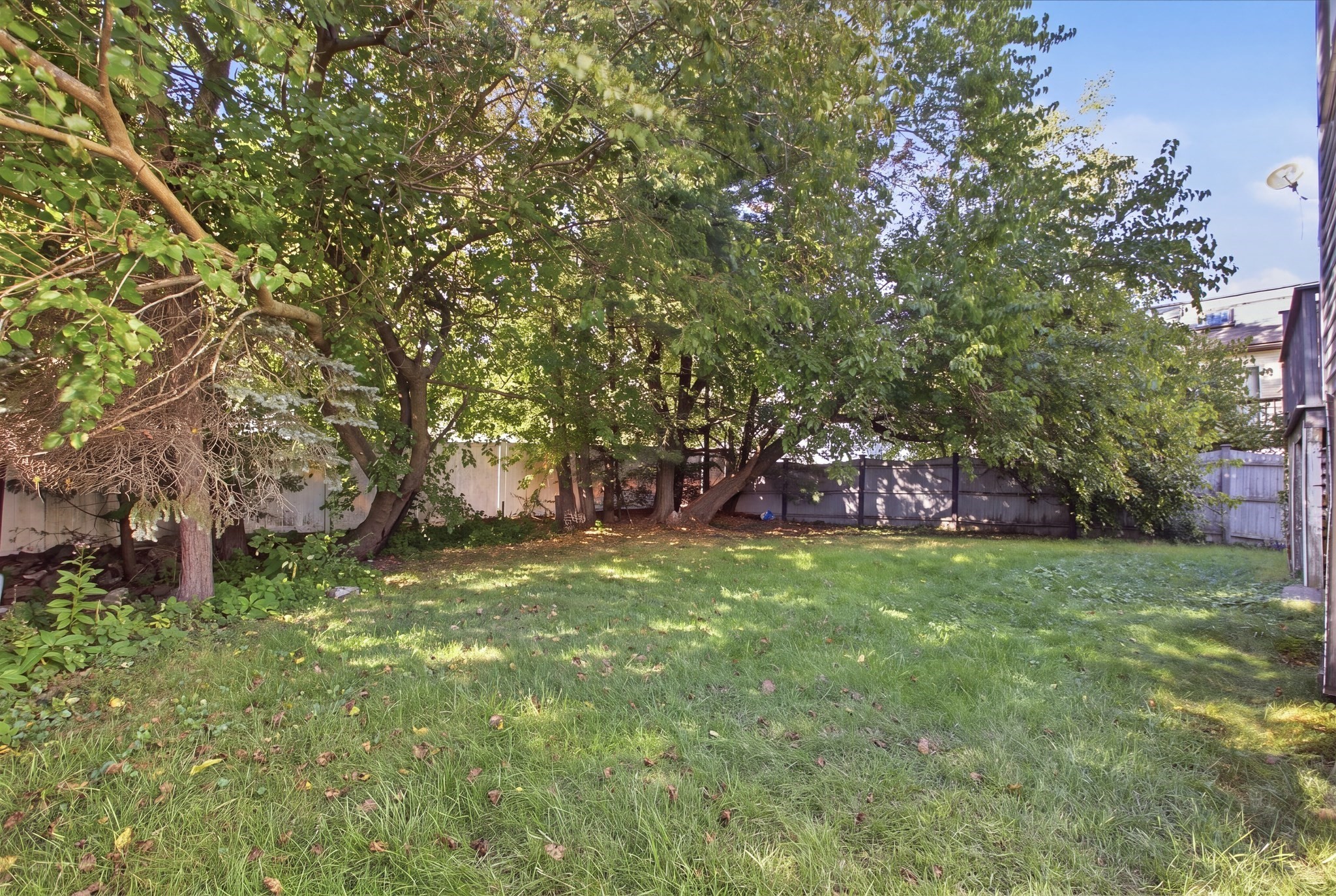 34 Palmer St Property Photo 37