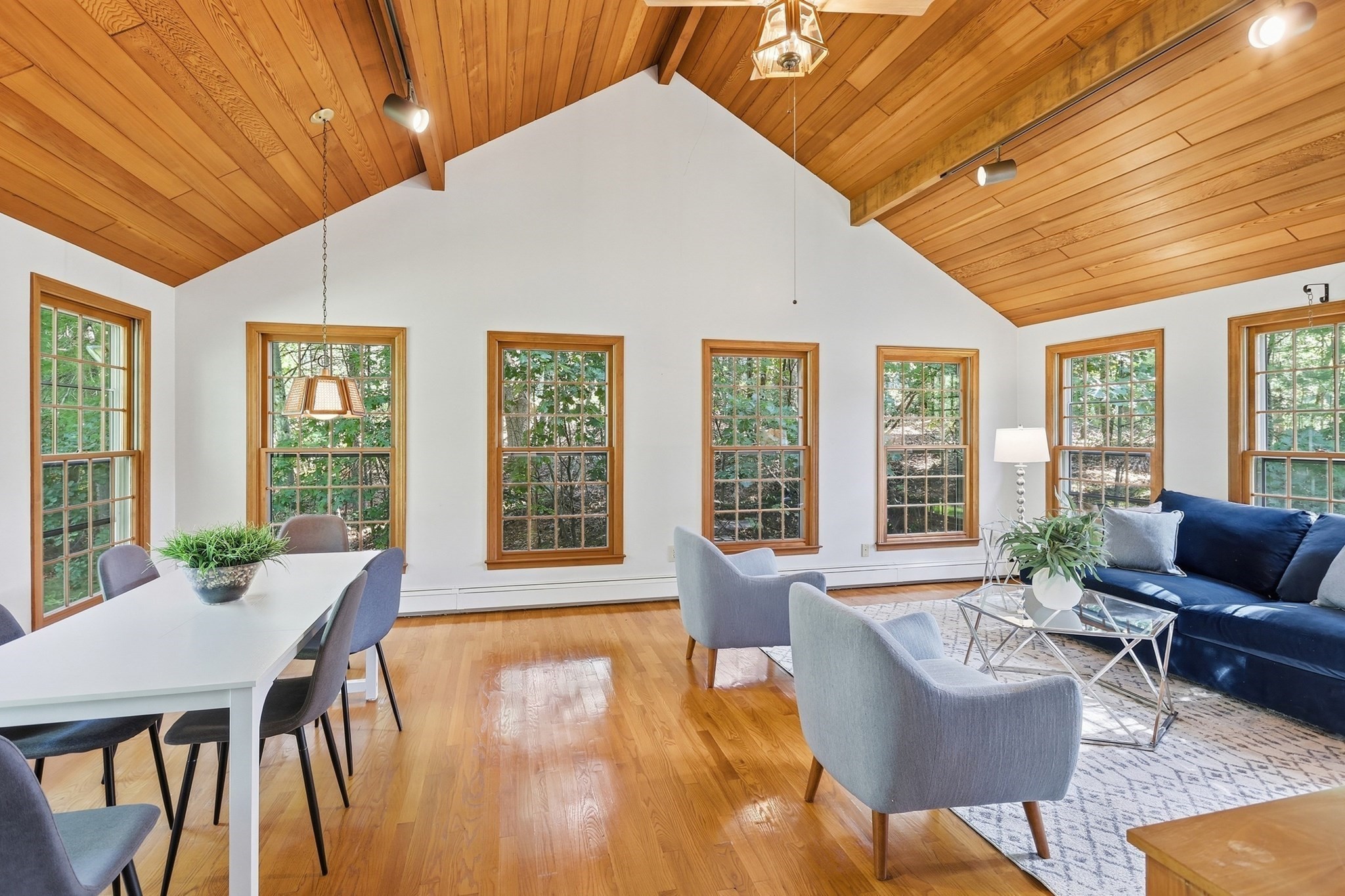 54 Carleton Road Property Photo 16