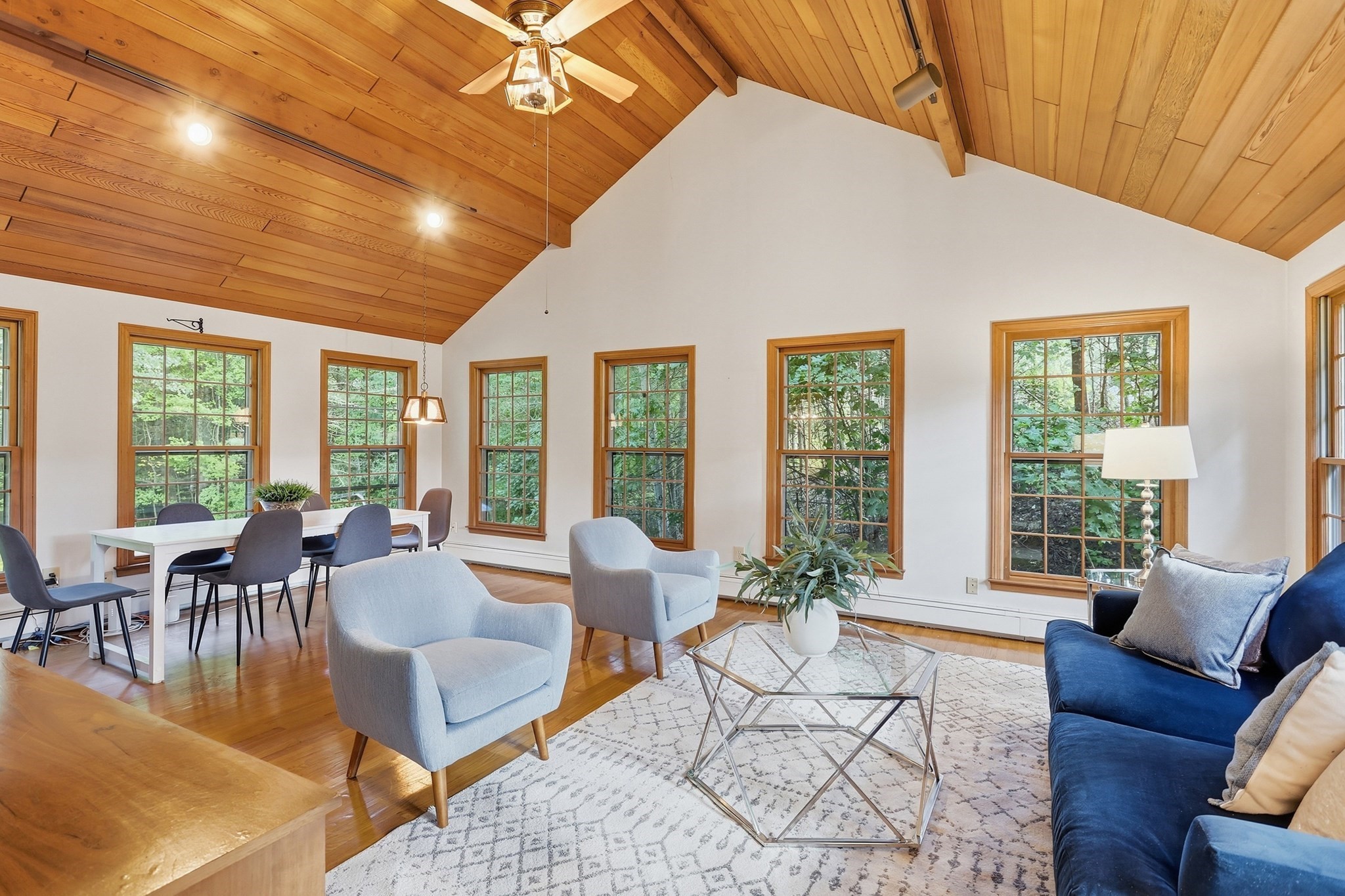 54 Carleton Road Property Photo 18