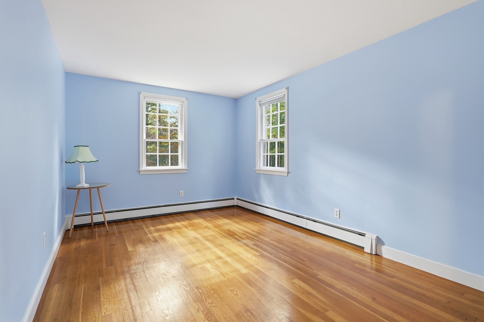 54 Carleton Road Property Photo 30