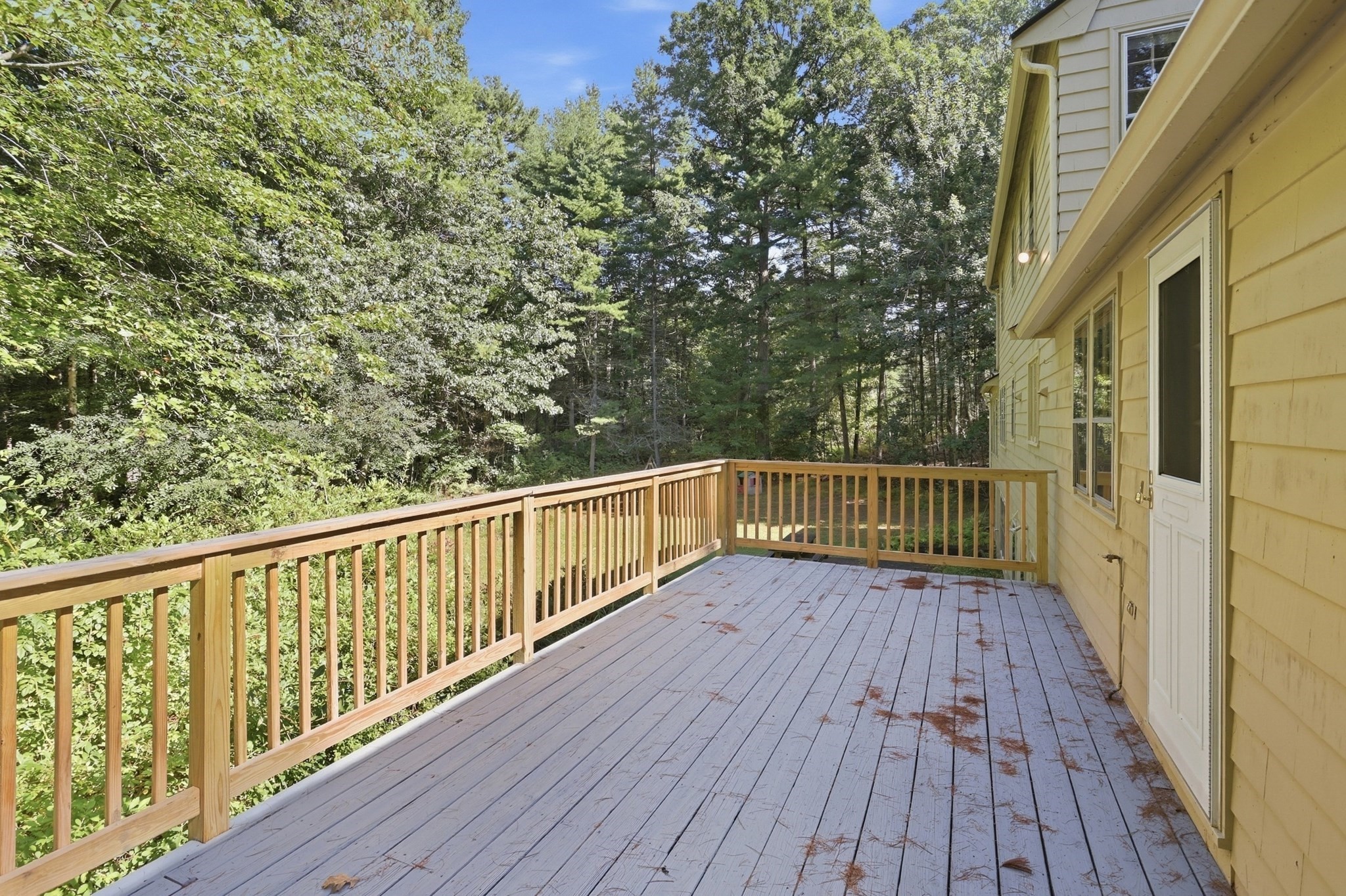 54 Carleton Road Property Photo 36