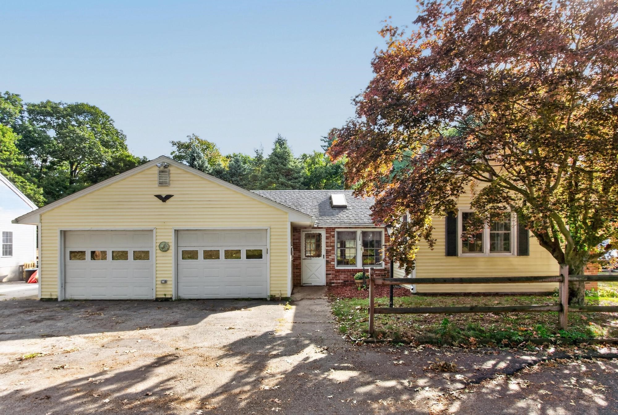 19 Marjorie Street Property Photo 3