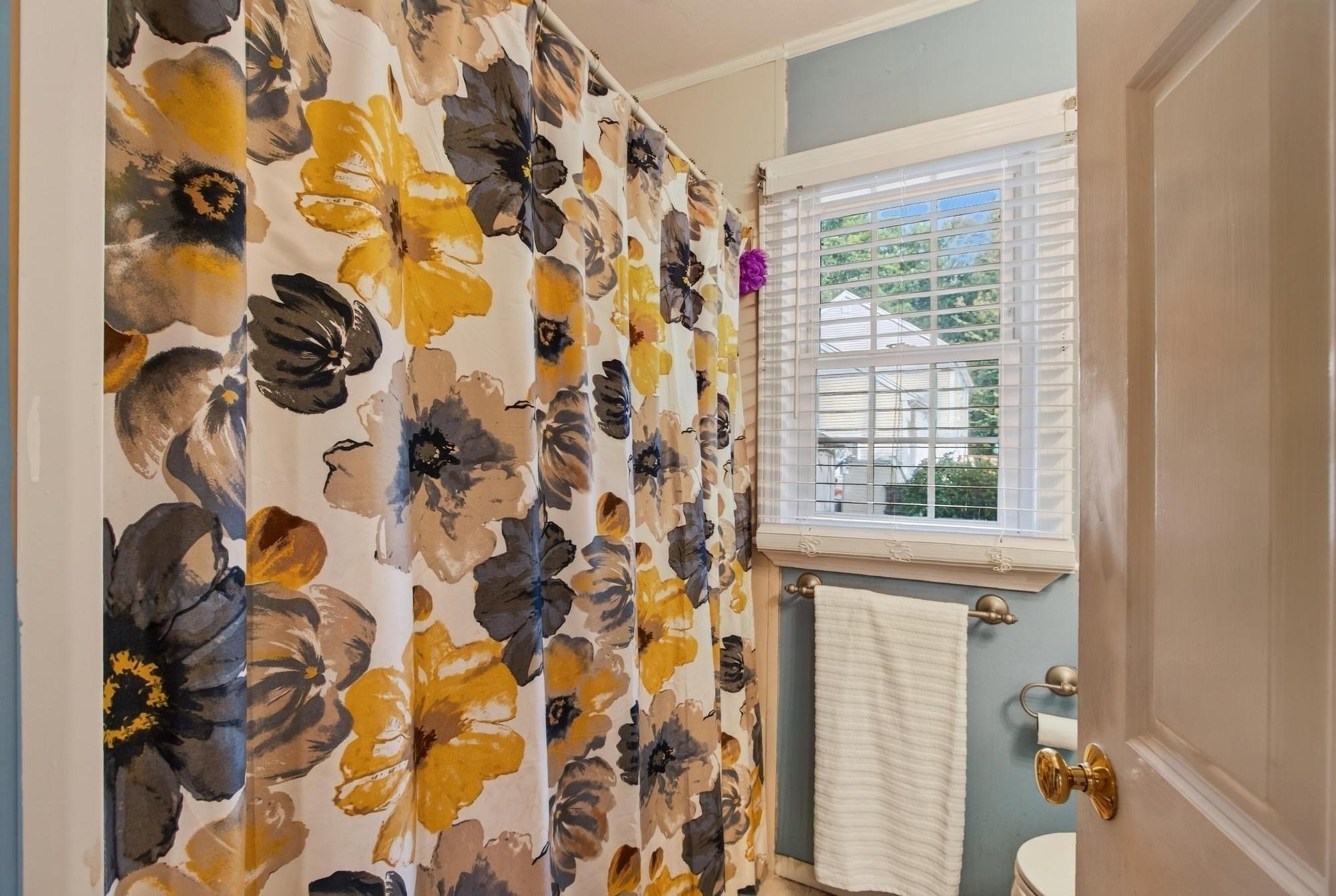 19 Marjorie Street Property Photo 16
