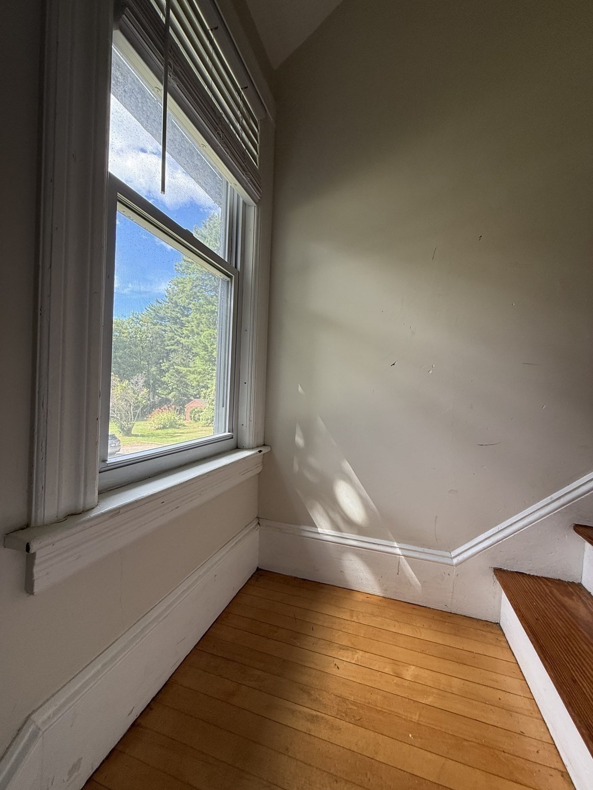 221 Northampton Rd Property Photo 10