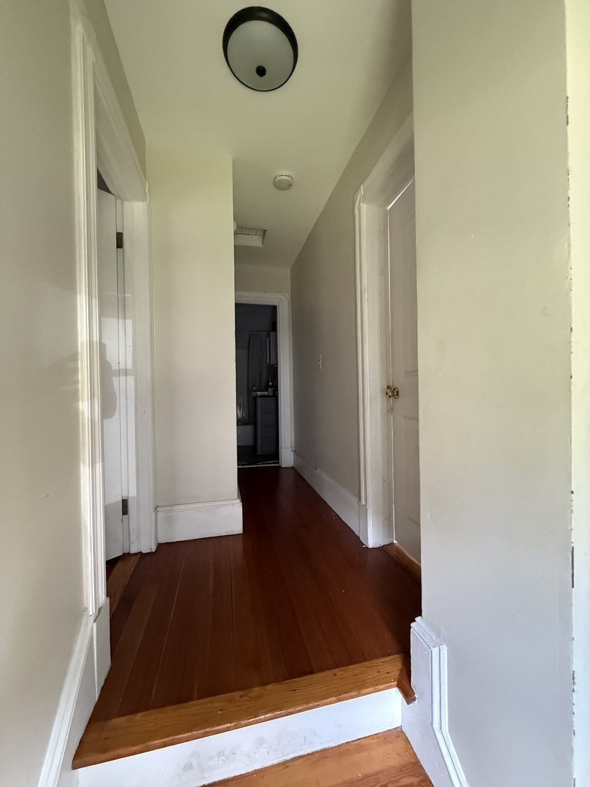 221 Northampton Rd Property Photo 11