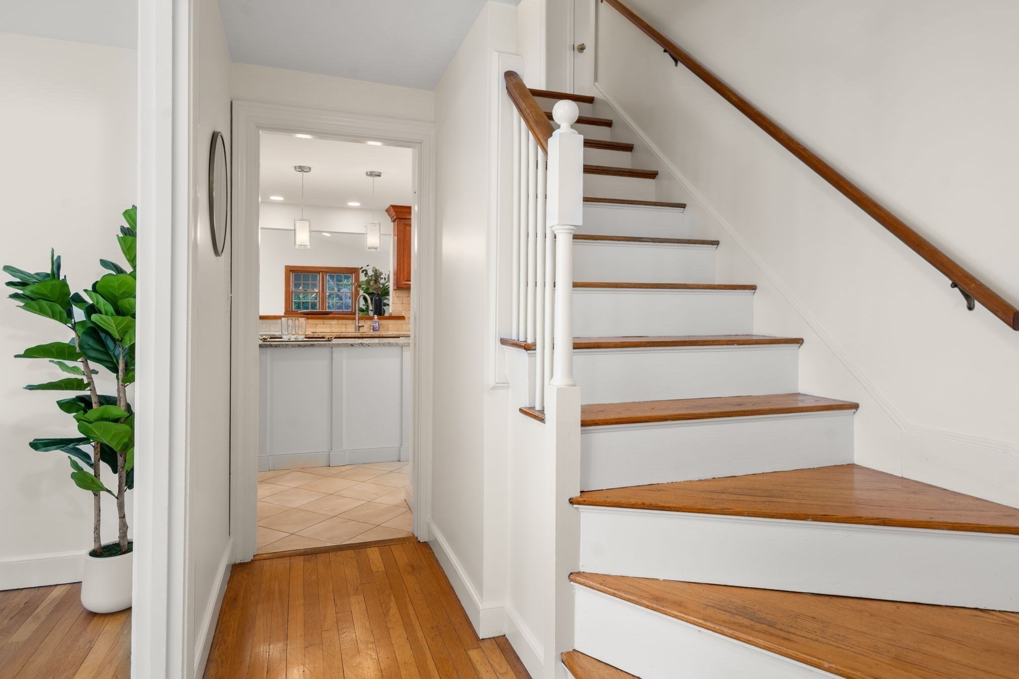 139 Webster St Property Photo 19