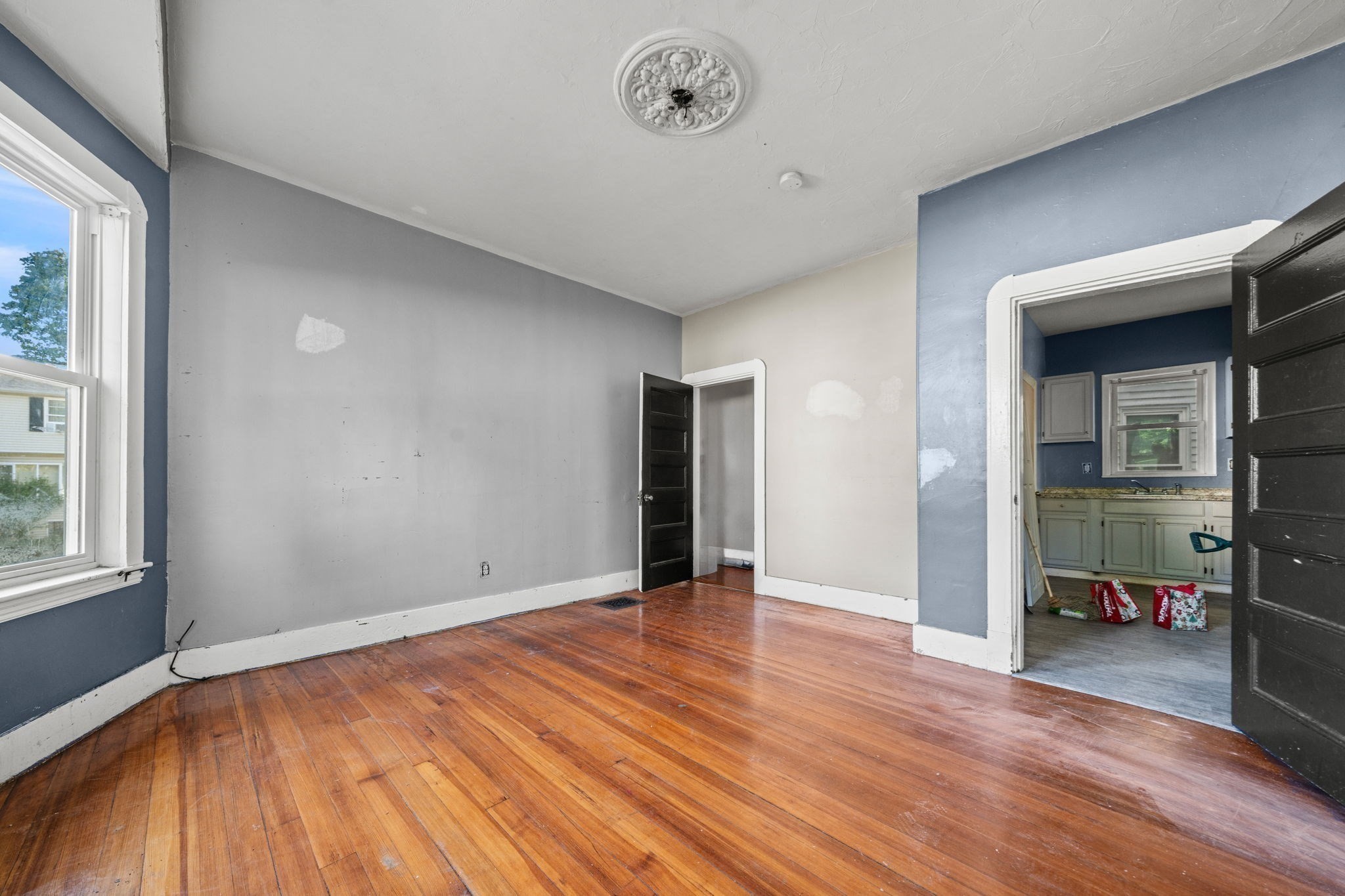 33 Hollander St Property Photo 27