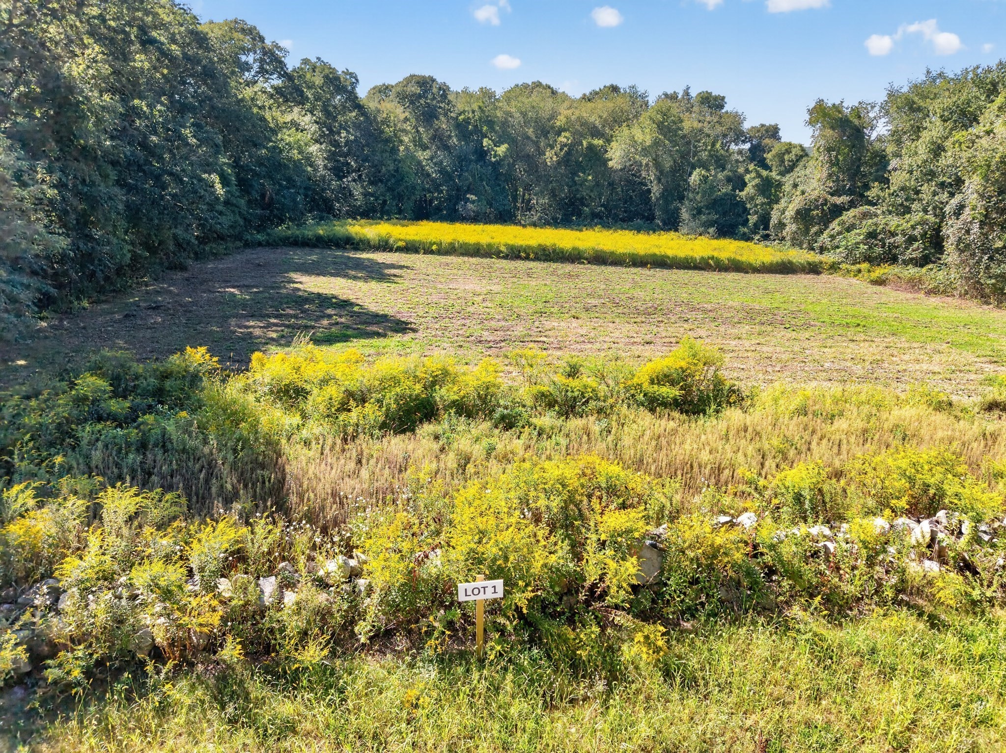 Lot 1 Nathan Kaplan Way Property Photo 2