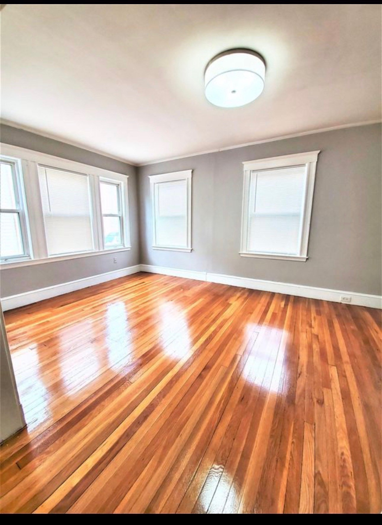 11 Monponset # 1 Property Photo 8