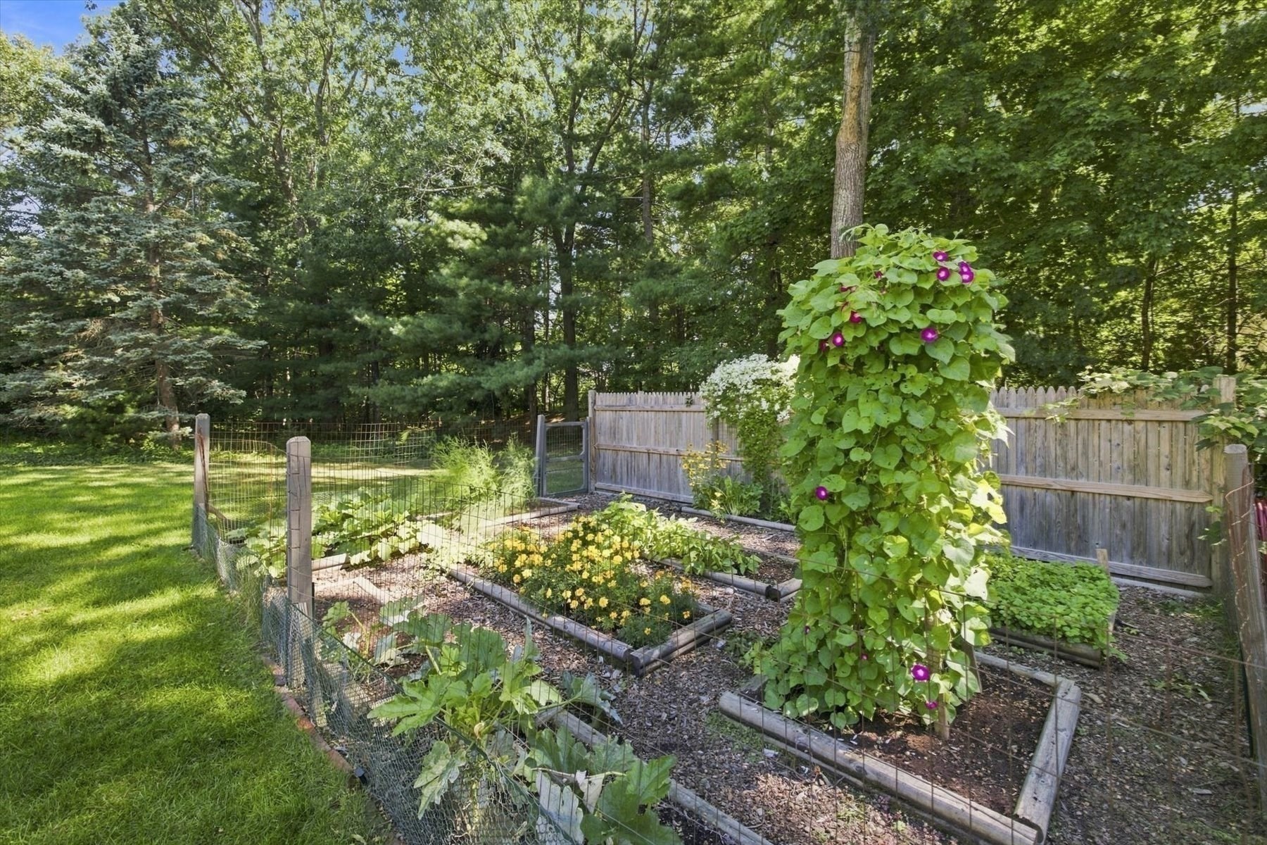 59 Beaverbrook Ln Property Photo 36
