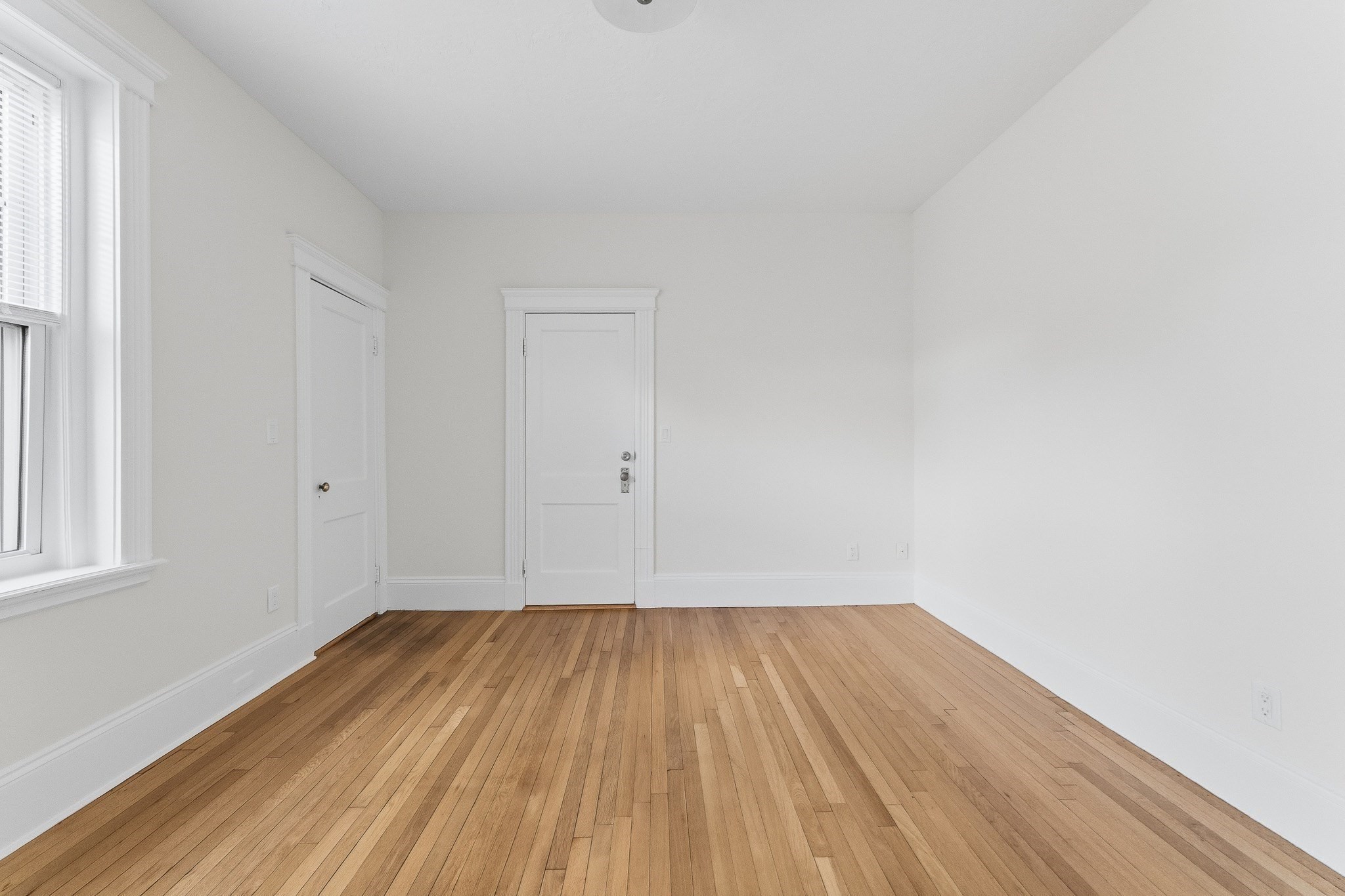 97 Marion Street # 5 Property Photo 19