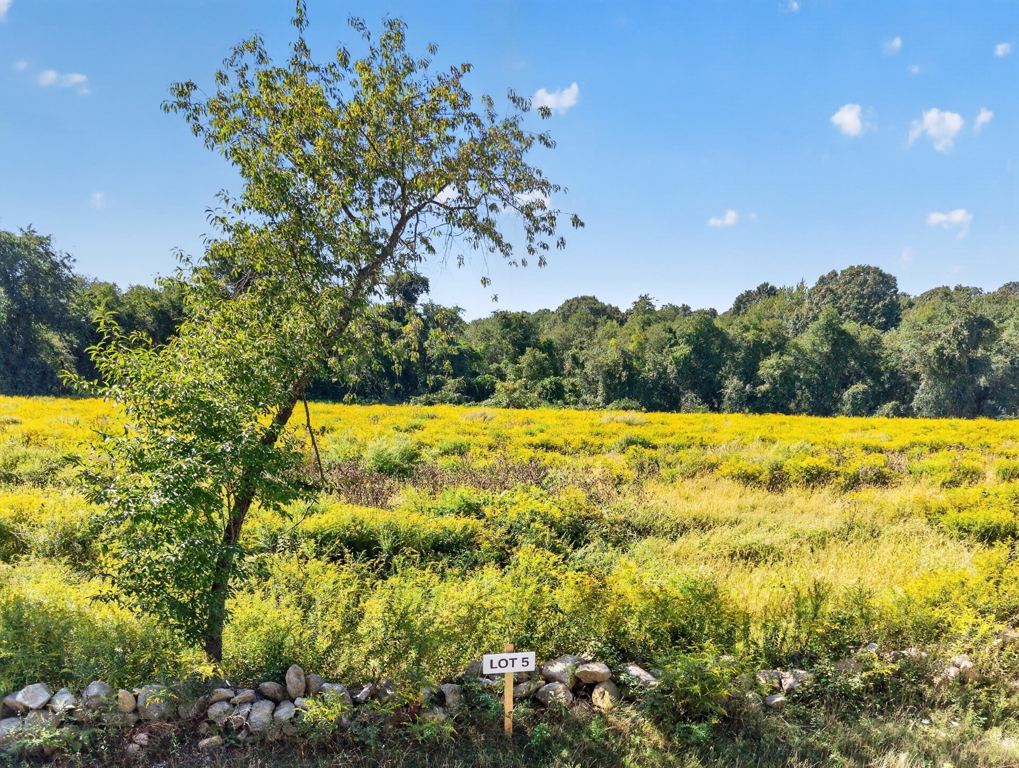 Lot 5 Nathan Kaplan Way Property Photo 3