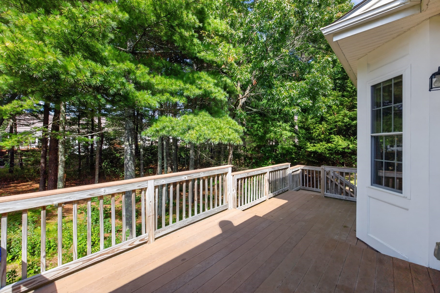 12 Maplewood Property Photo 28