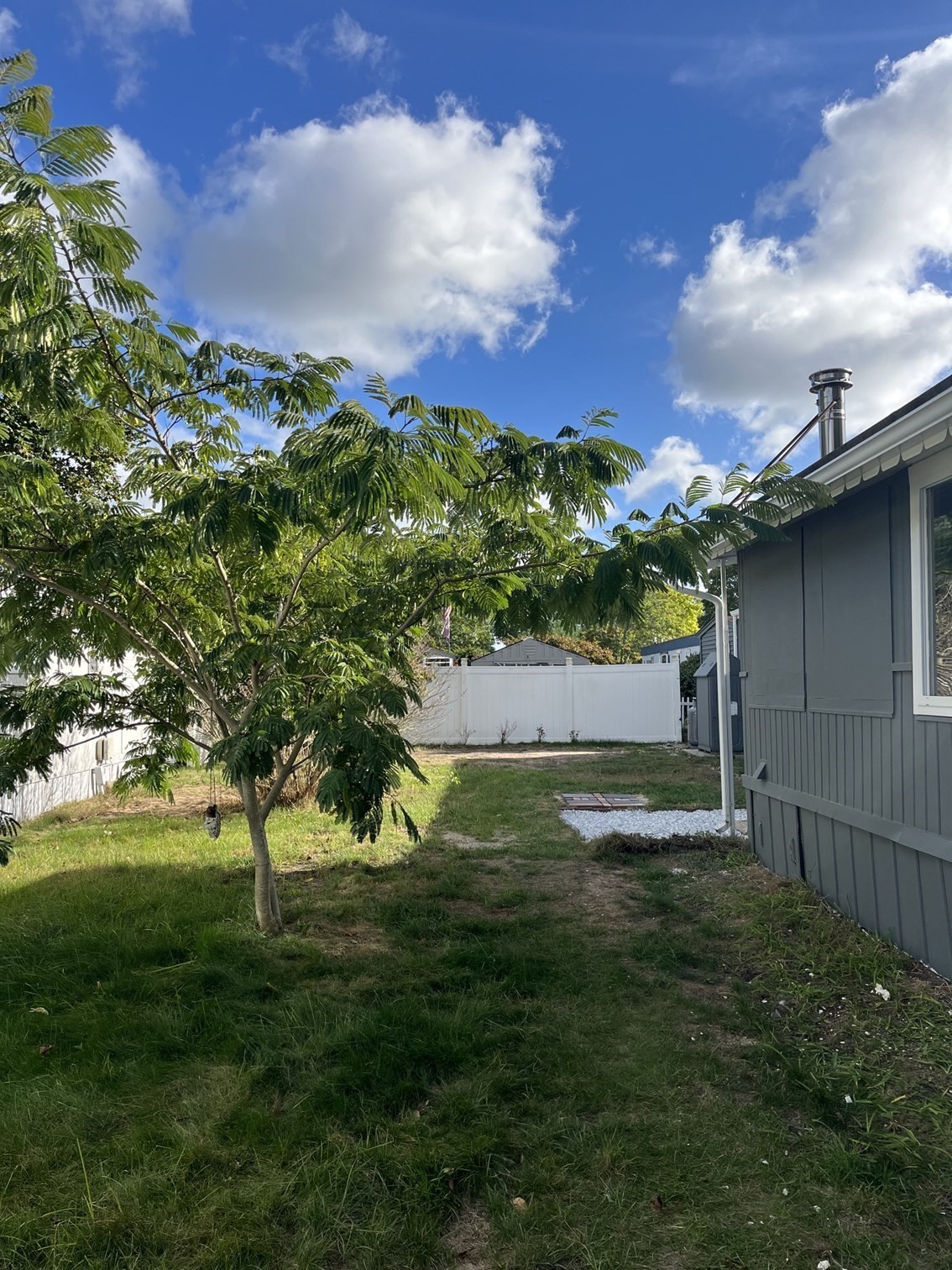 25 Roy Street Property Photo 9